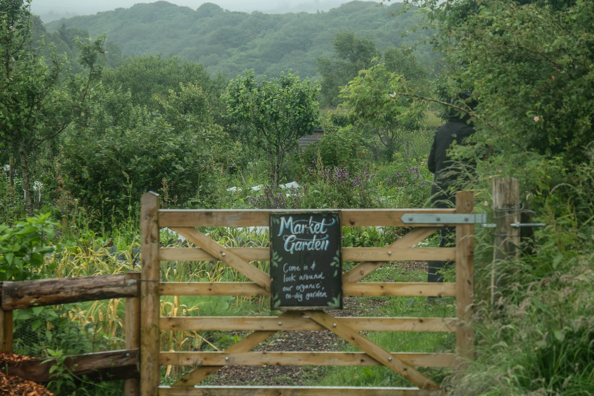 Gwrych Coed Gwydr-39.jpg