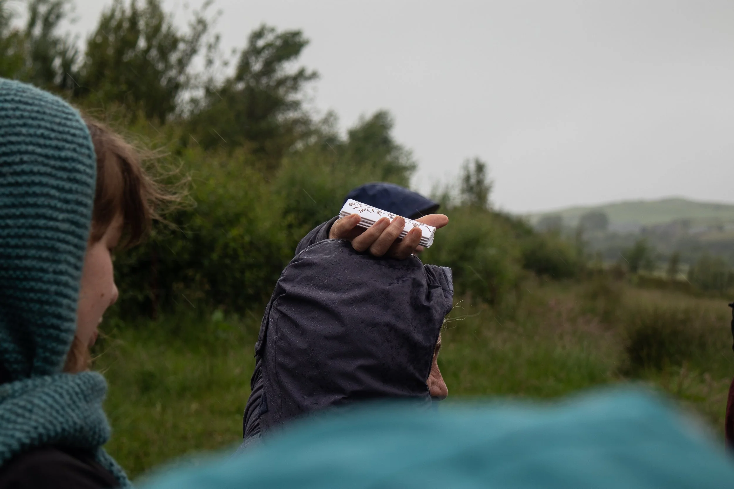 Gwrych Coed Gwydr-27.jpg