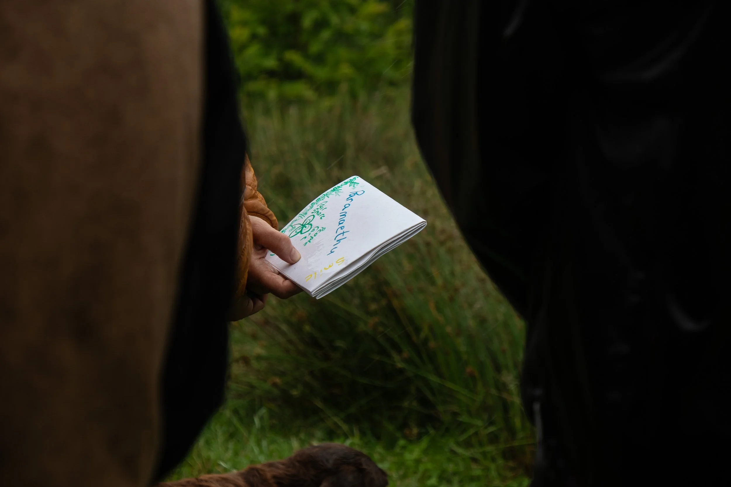 Gwrych Coed Gwydr-28.jpg