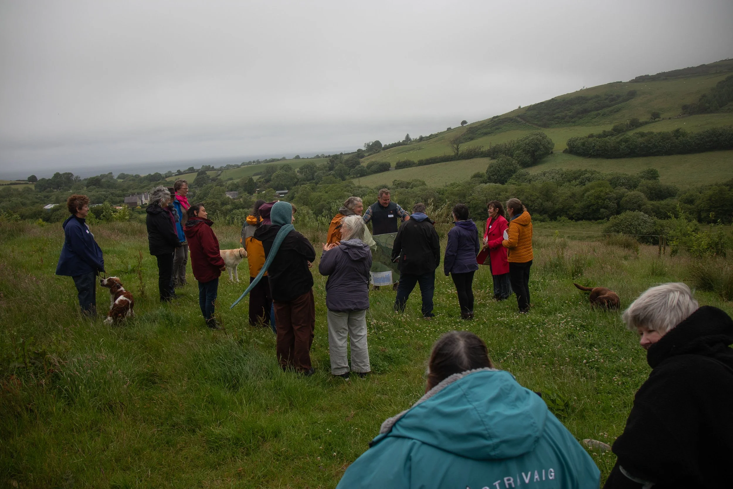 Gwrych Coed Gwydr-25.jpg
