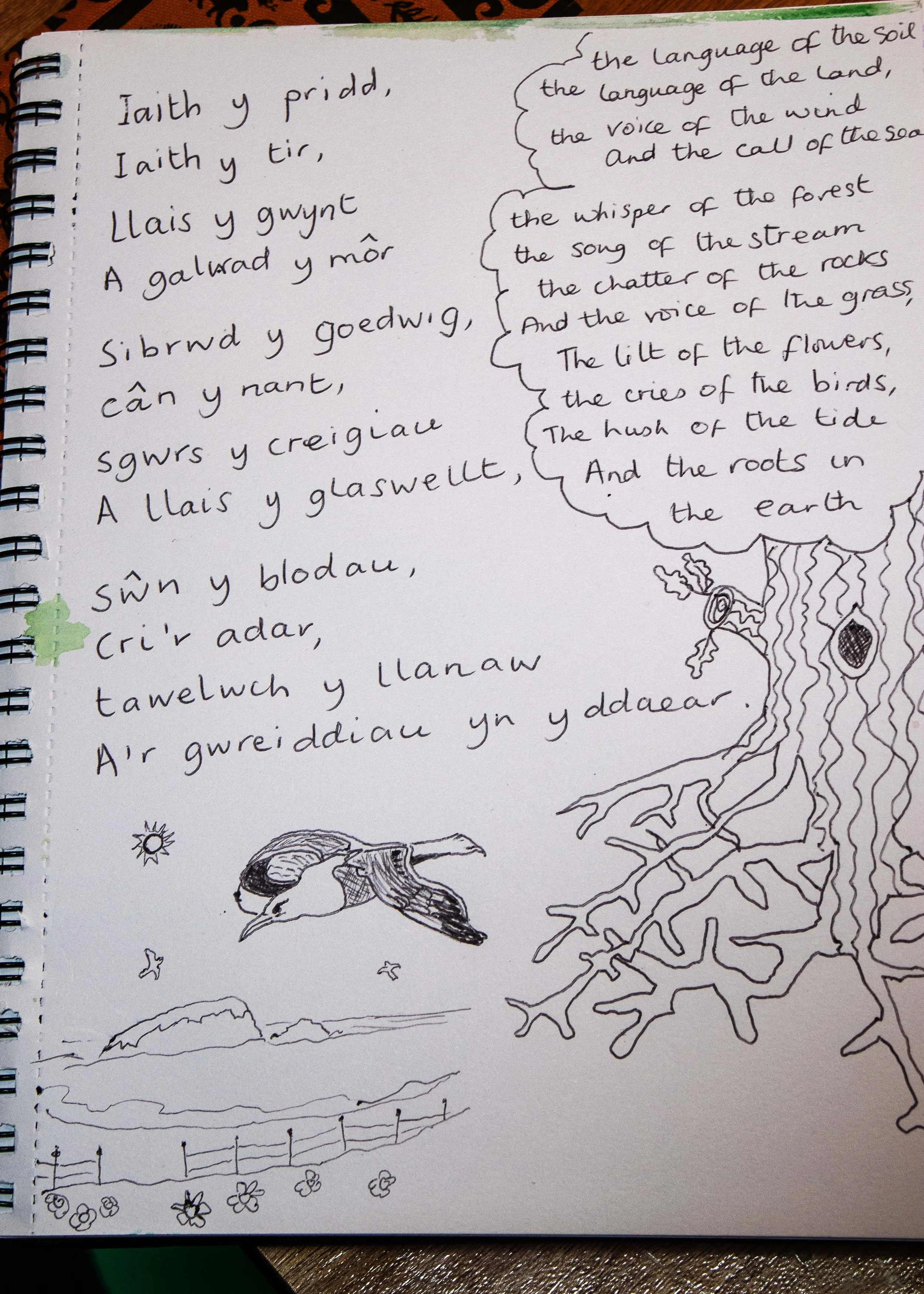 Gwrych Coed Gwydr-21.jpg