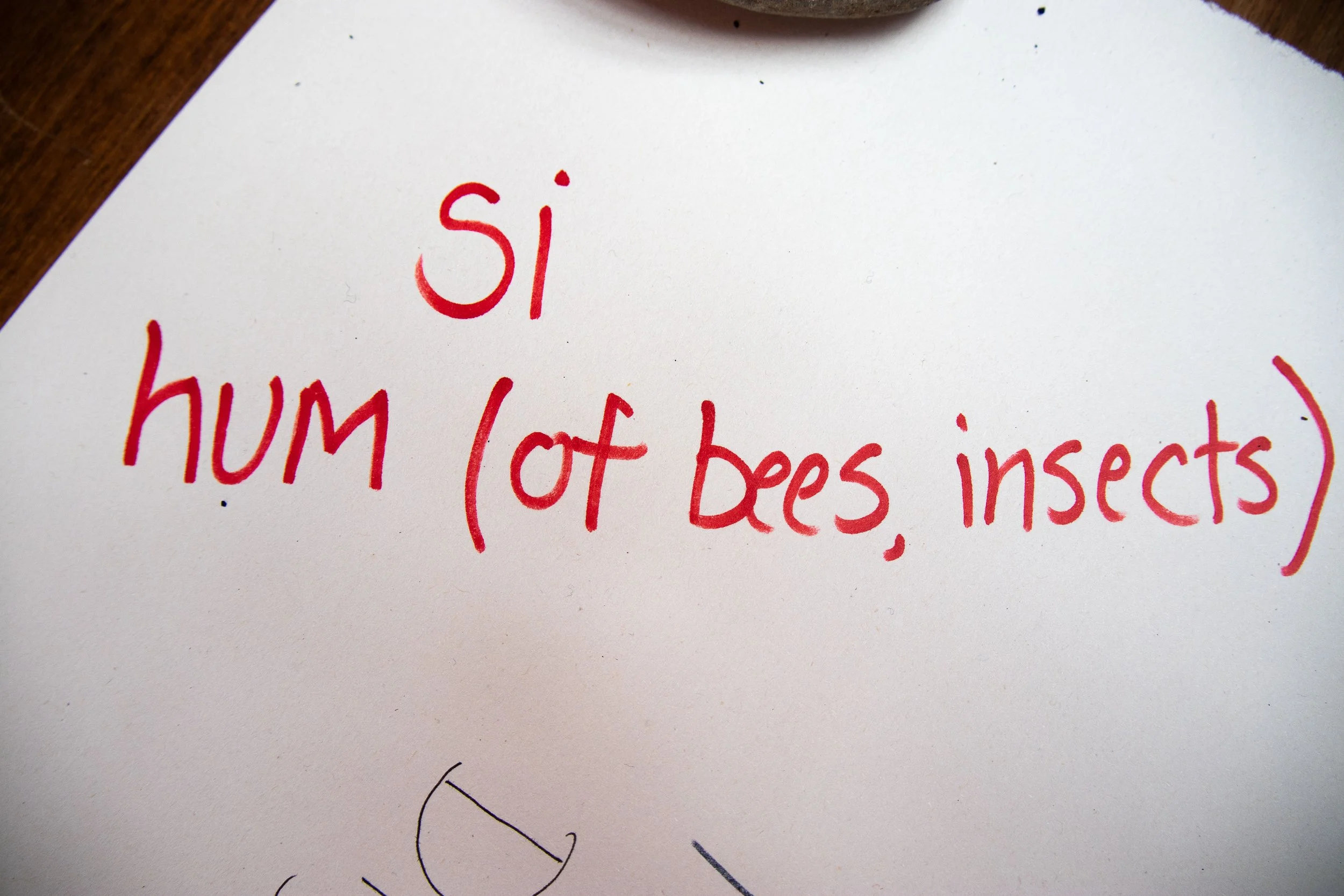 Can y Cynefin 4.9.26-15.jpg