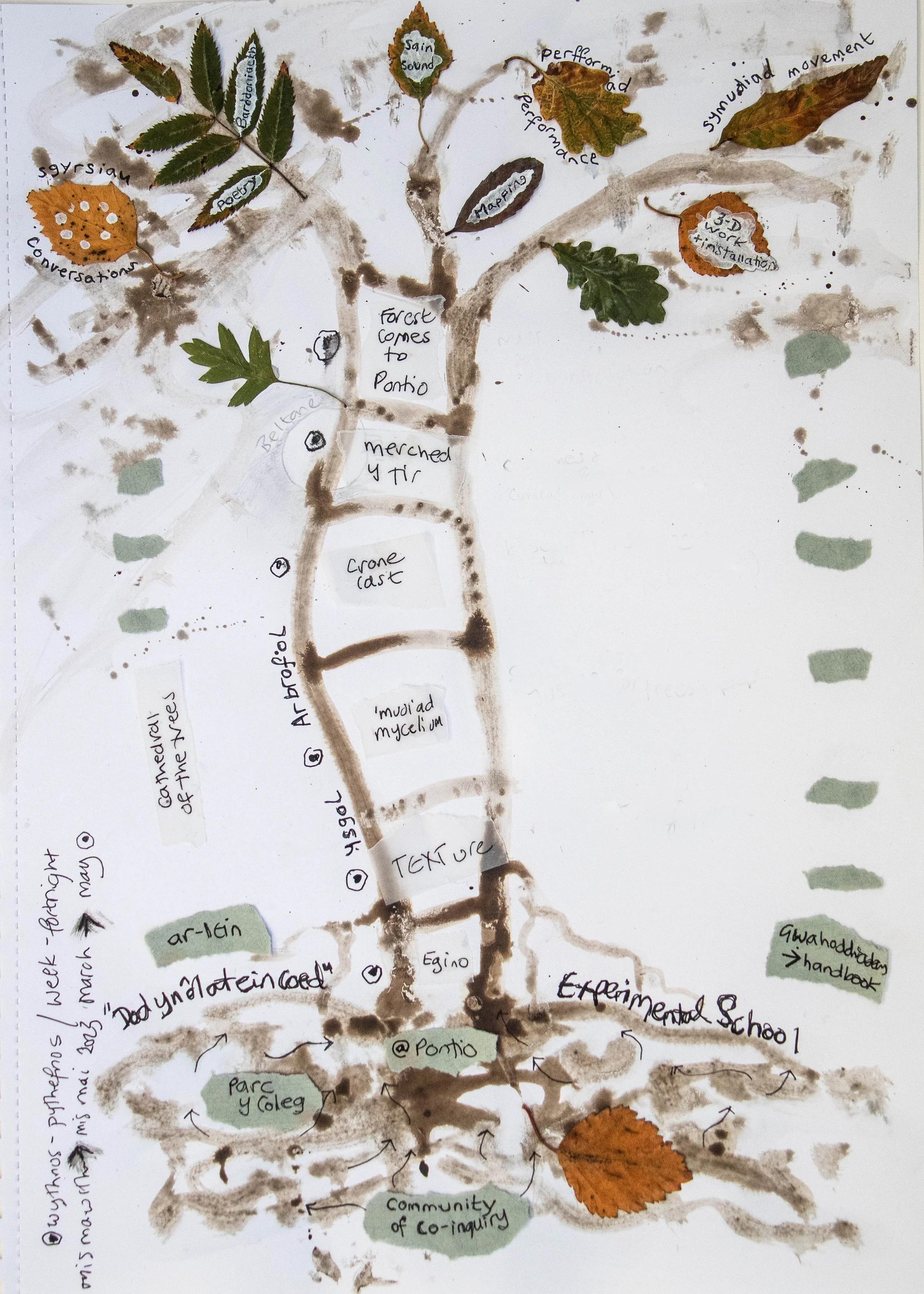 At Ein Coed - Planning | Join Our Planning Journey — Utopias Bach ...
