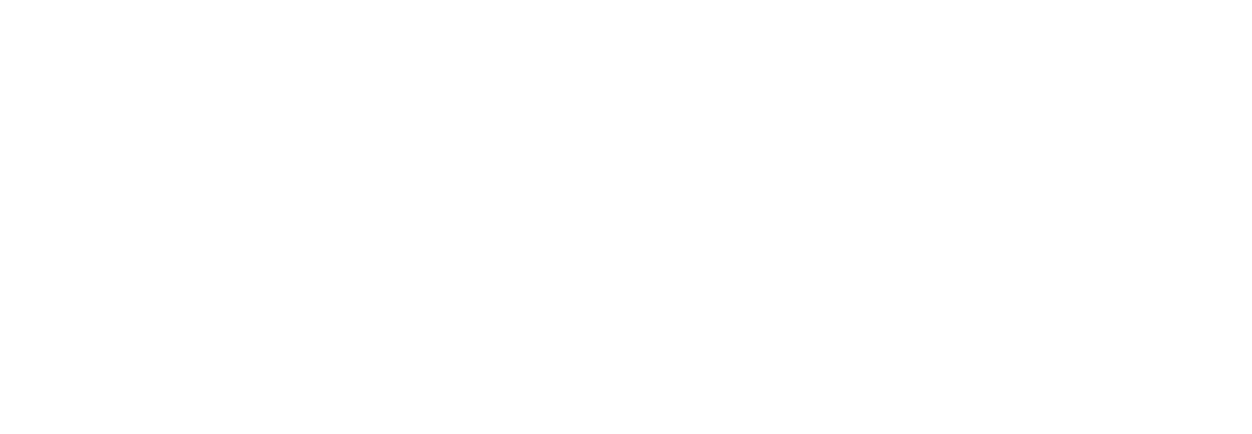 Instagram-Logo-white.png