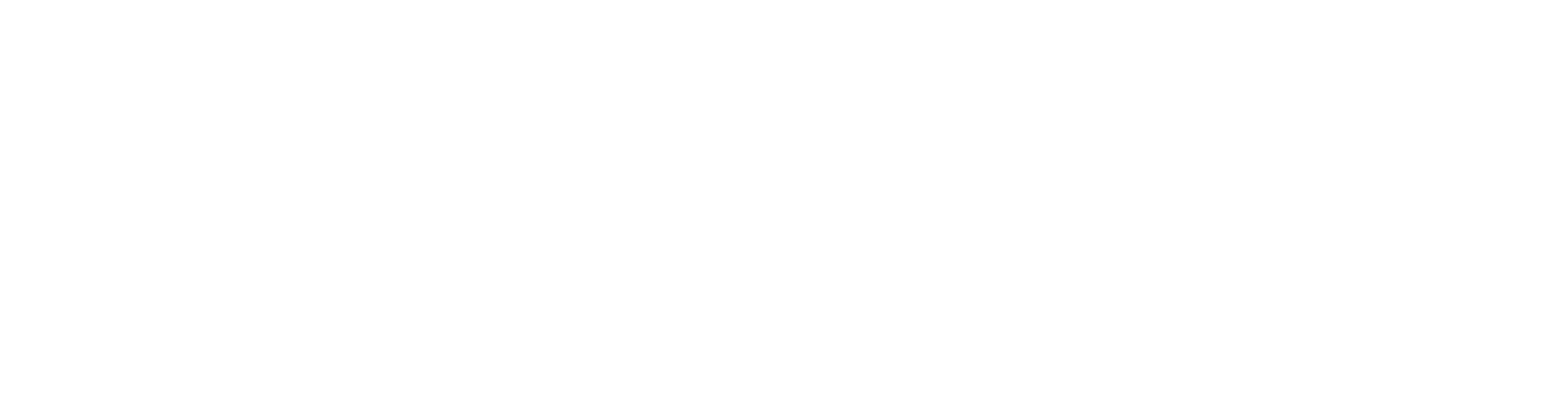 pinterest-logo white-transparent.png
