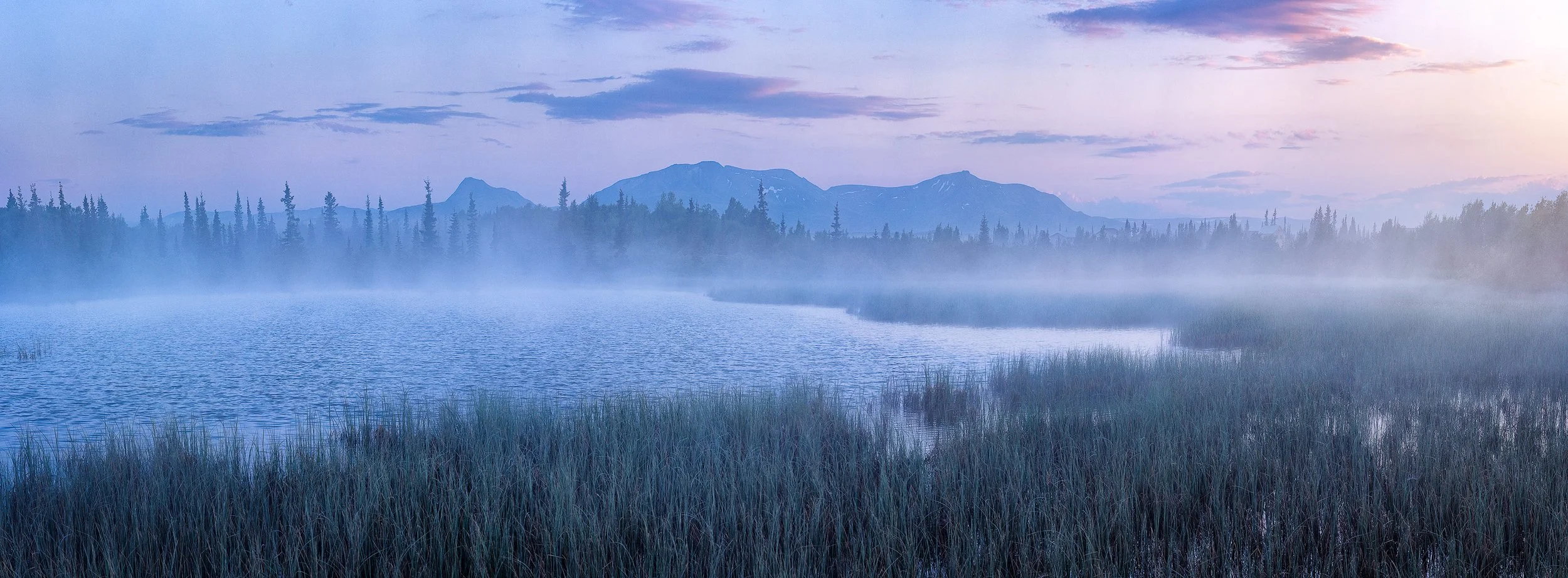 Grebe-Pond-copy.jpg