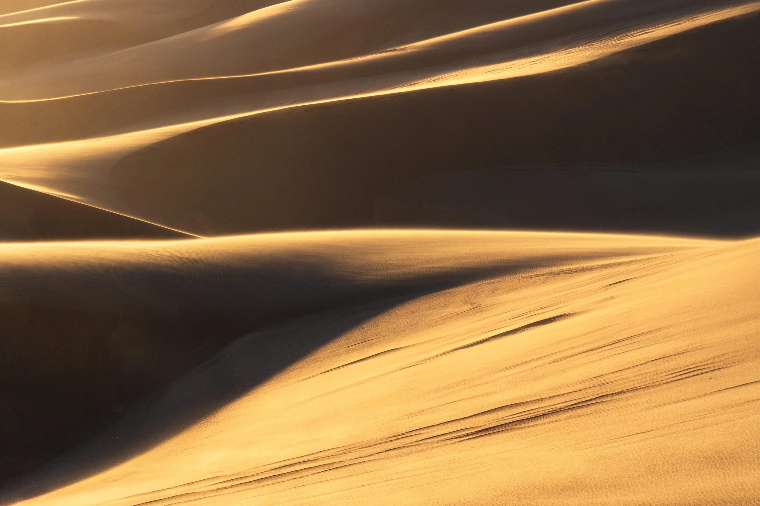 Of-Light-and-Shadow-copy.jpg