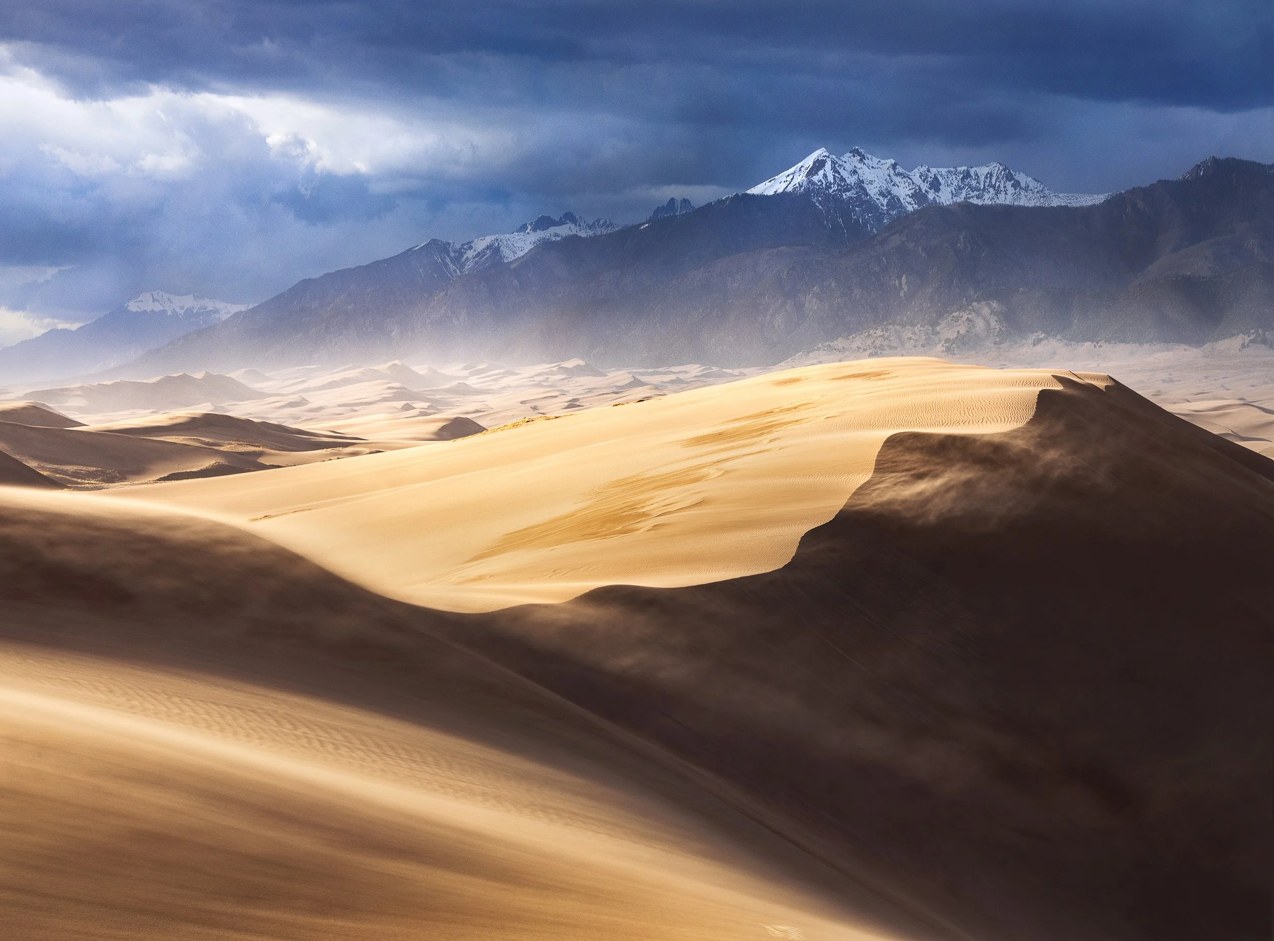 _OSR4258-Edit-copy new.jpg