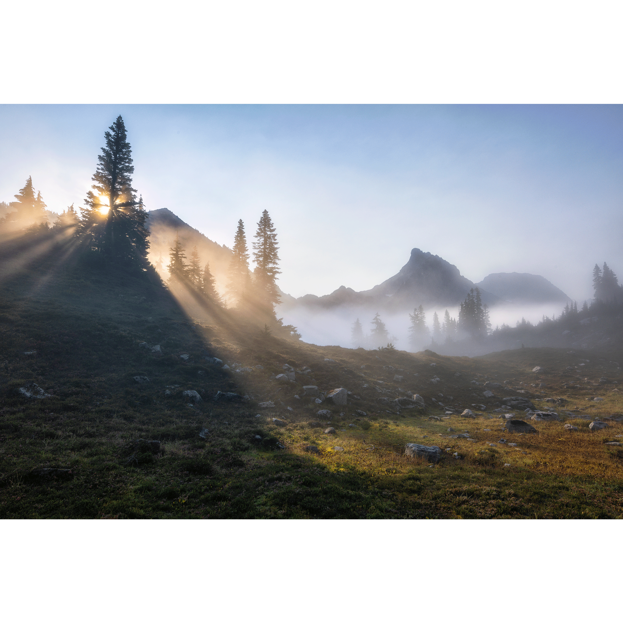 The-Mountain-that-Dreamed---No.-001.png