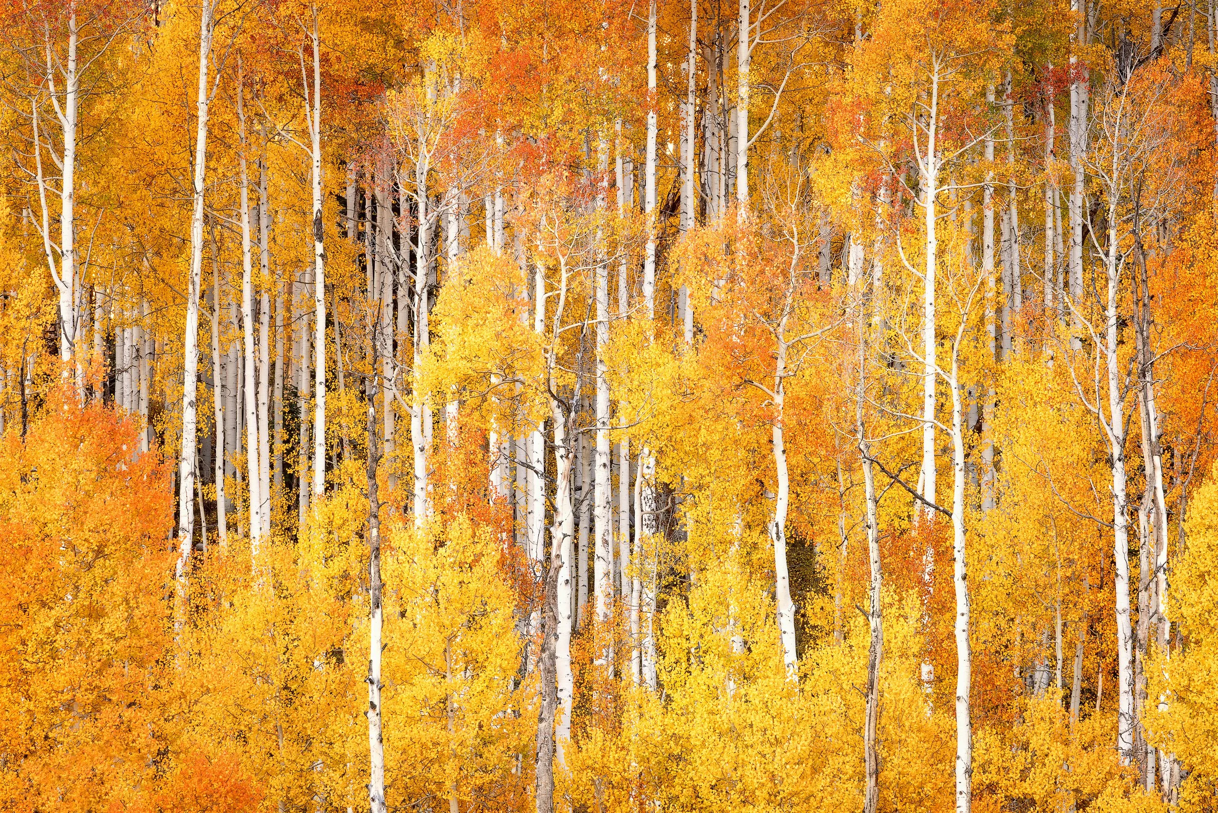 _R5_6781-Edit-copy.jpg