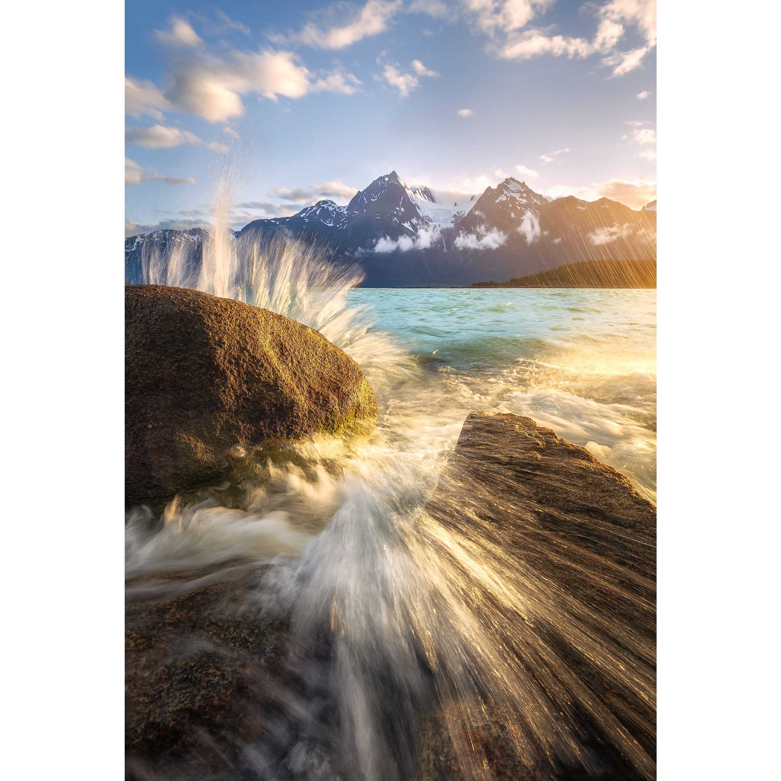 Untitled-1-copy.png