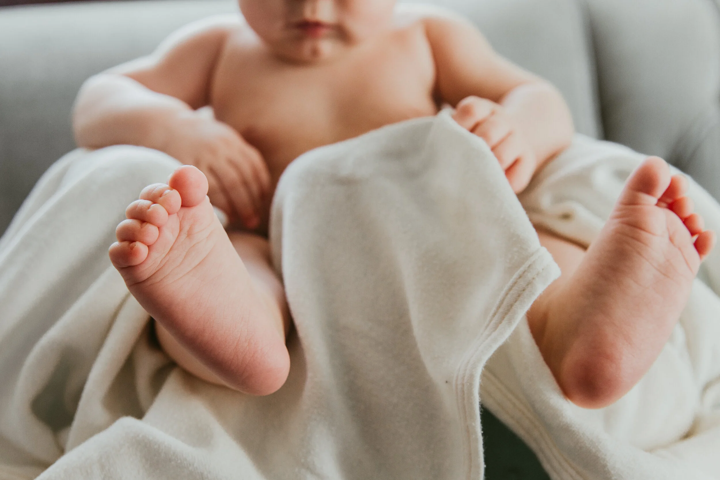 IMG_6730 copy copy.jpg