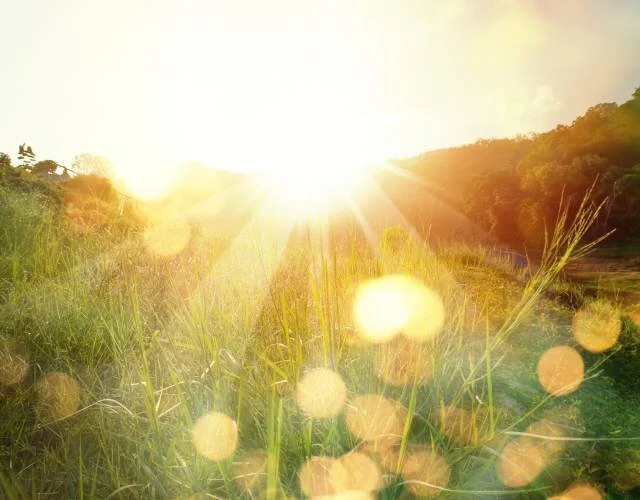 Poetry prompts from Matt Harvey