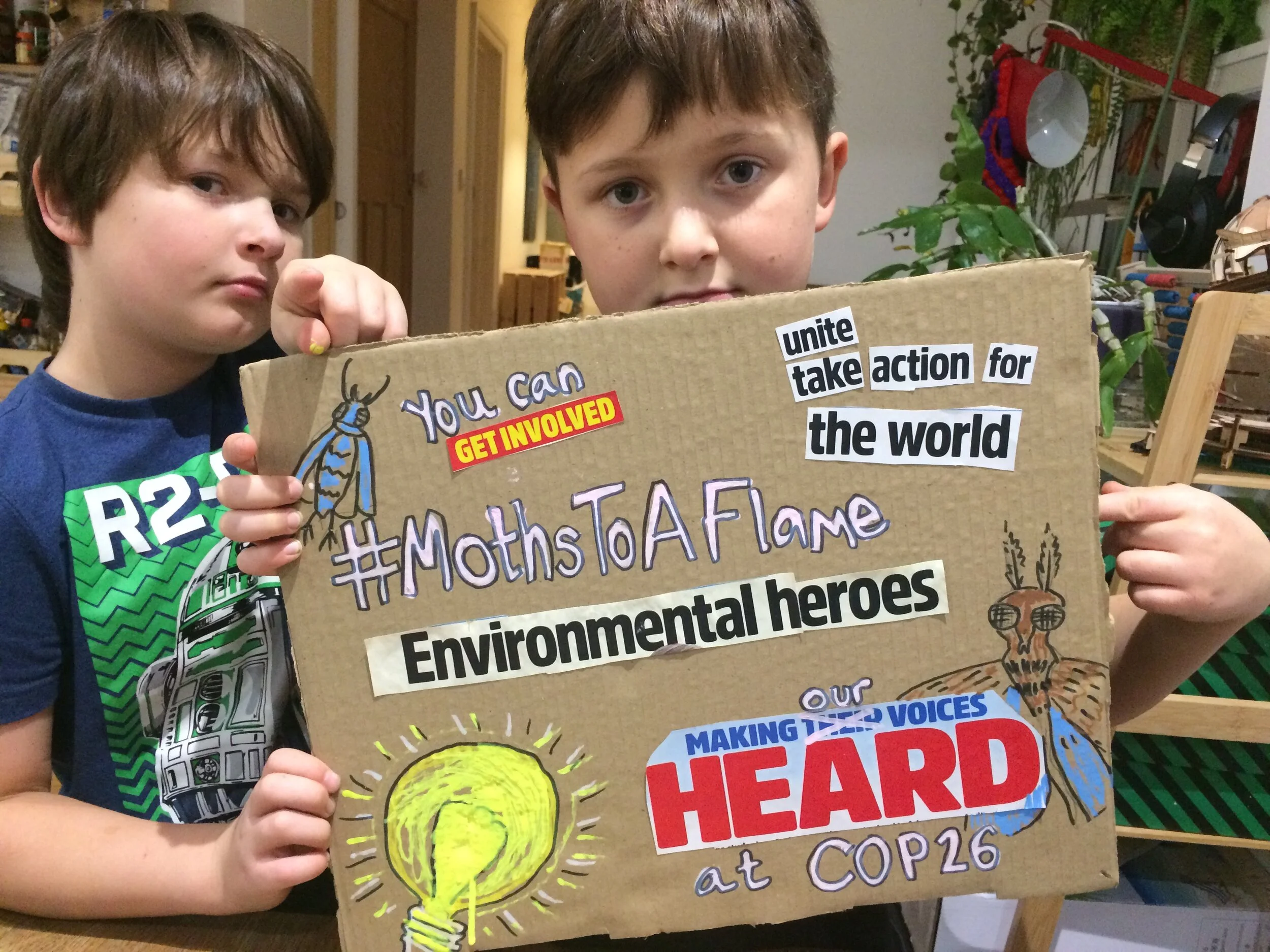 Moths to a Flame activities in Exeter Library this September