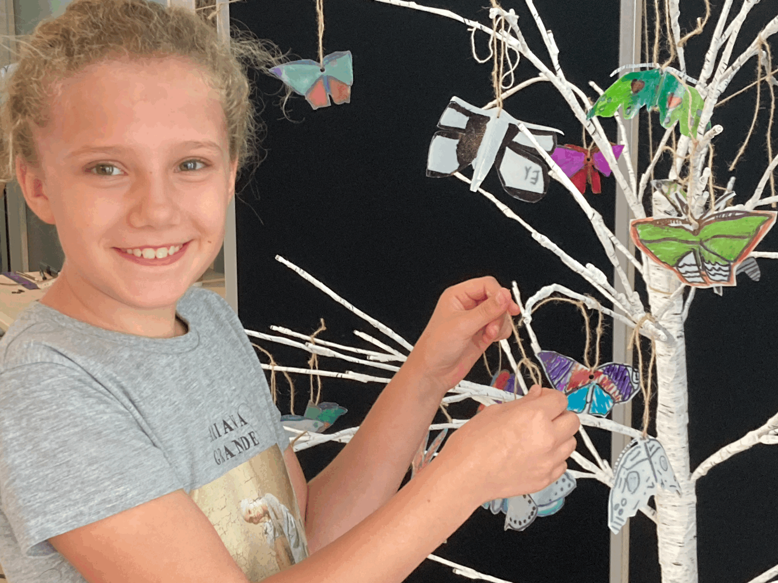 Moths by the sea in Ilfracombe