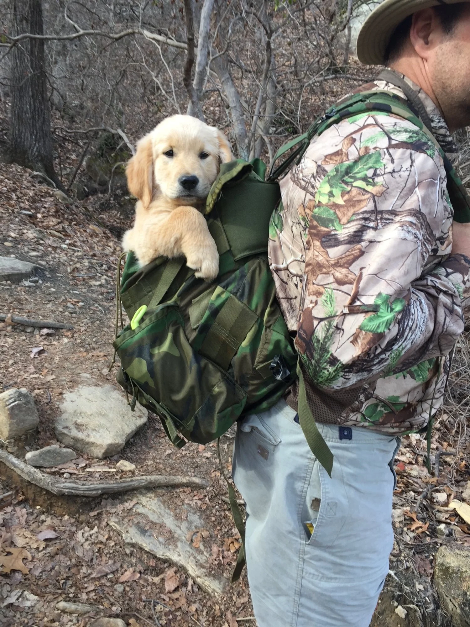 Golden Retriever puppy in a backpack on a man's back, wearing camouflage jacket, hiking outdoors.