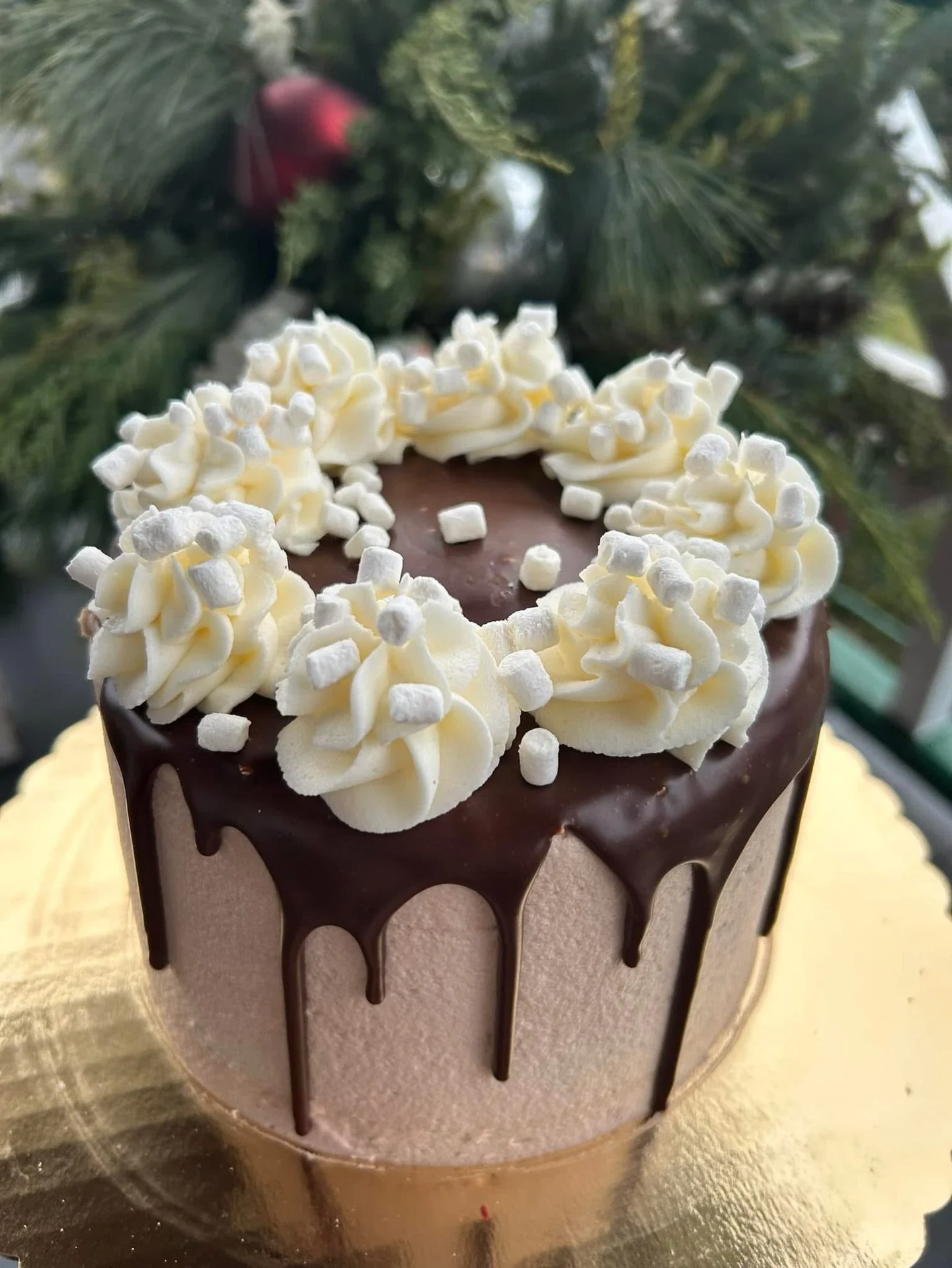 We are ready to take your holiday orders! To all our text subscribers, use your special coupon sent to you today by Sunday, Nov. 30th. 

Order online
www.frontporchbakeshop.com/holiday

#hotchocolatecake 
#holidaycakes 
#tfpbs 
#thefrontporchbakeshop