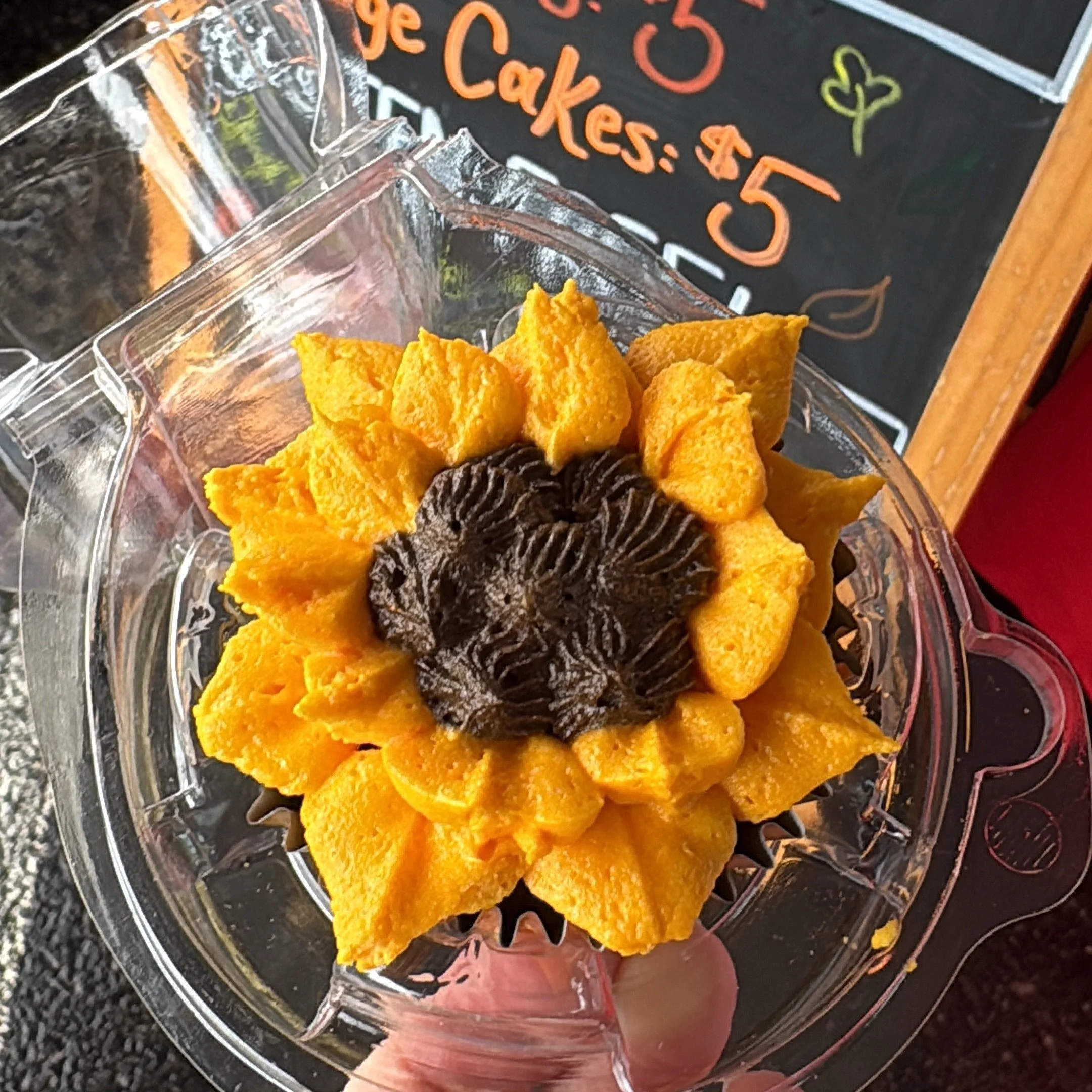 Fall is in the air! Grab your umbrella and head on up to Dallas High School! We will be here until 5pm  Sunday, September 20th
