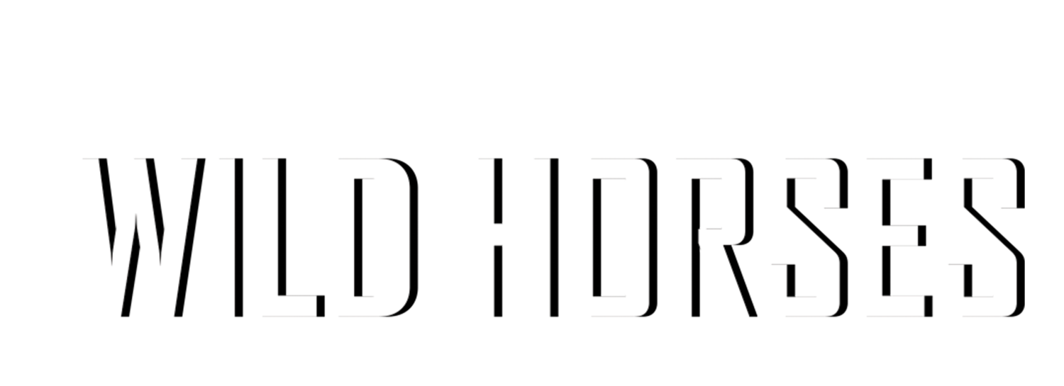 Wild Lands Wild Horses