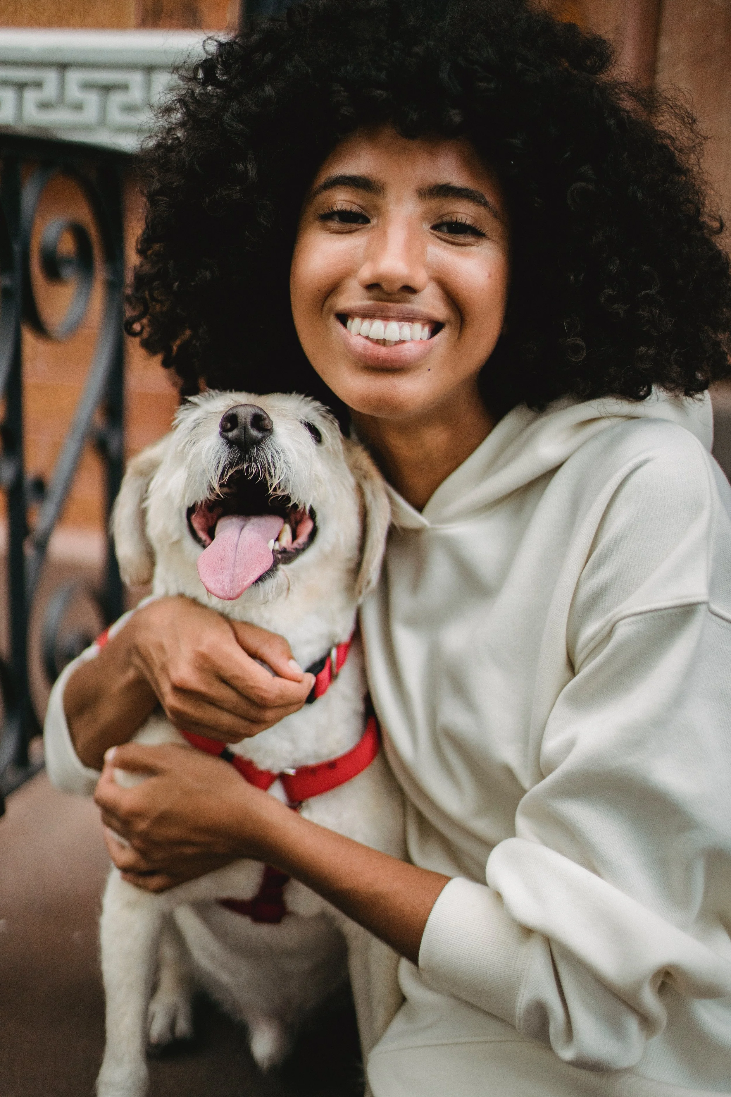 Dog friendly holidays Photo by Samson Katt