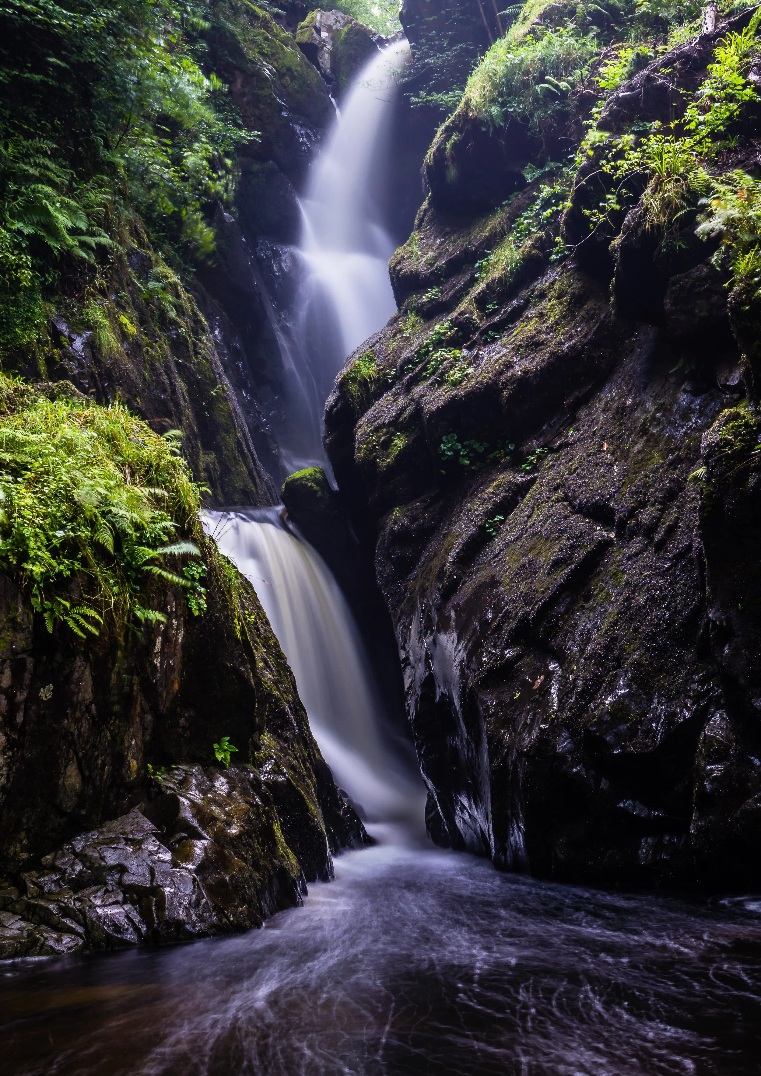 Photo by James Arnes