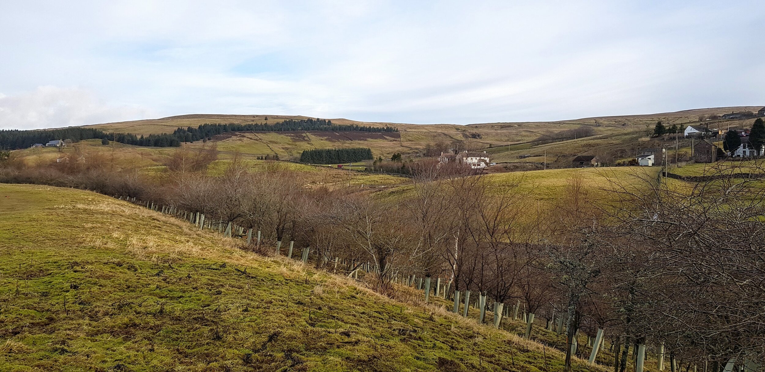 View from dog Exercising Field.jpg