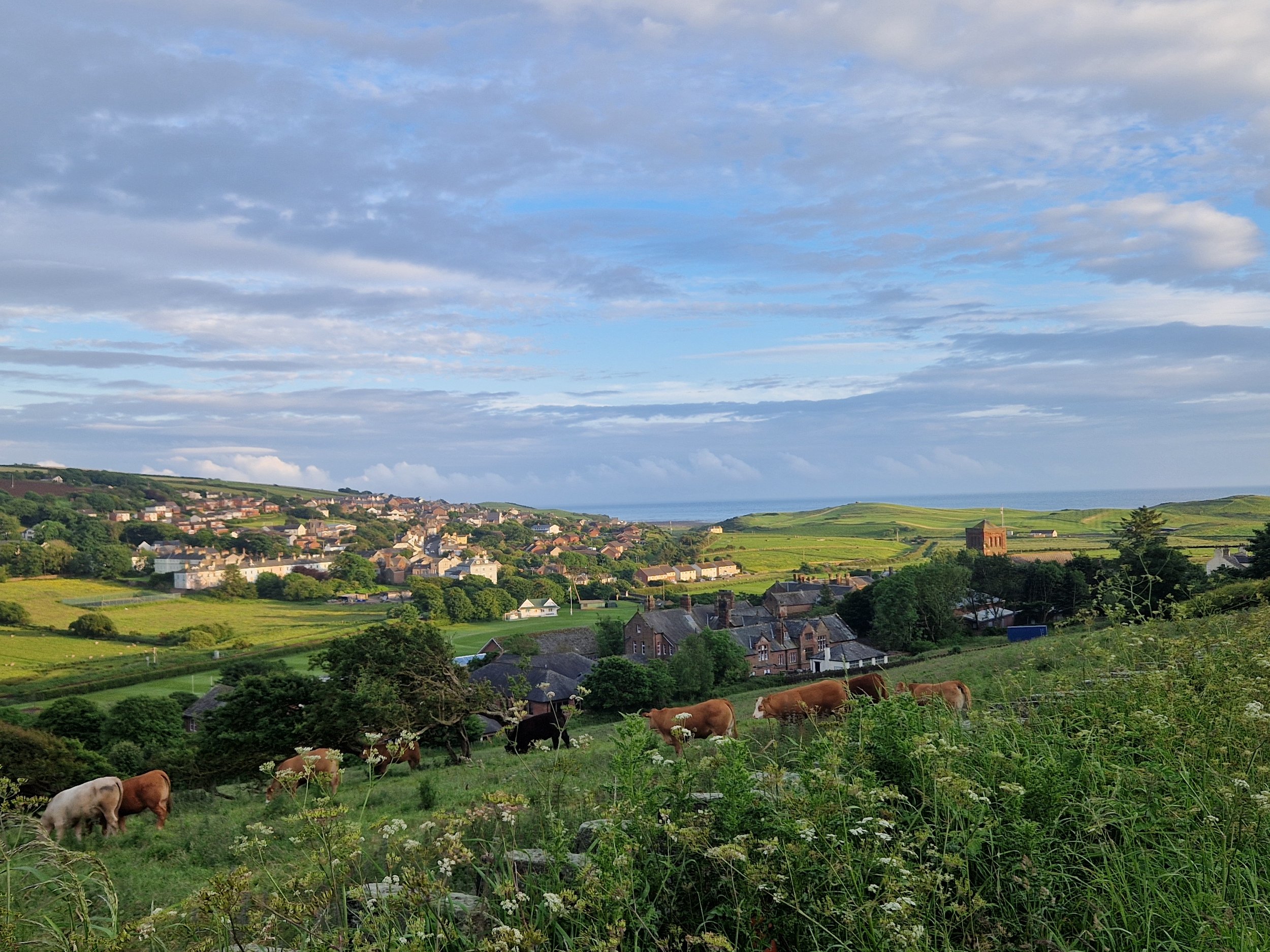 st bees view from behind school.jpg