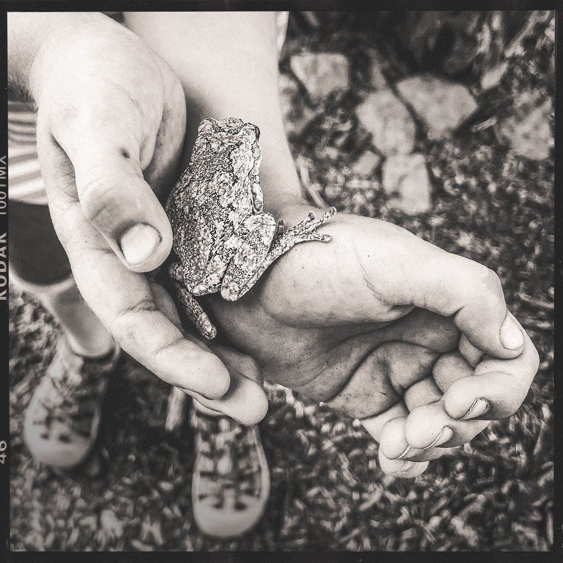  Boyhood , 8" x 8" toned print on paper