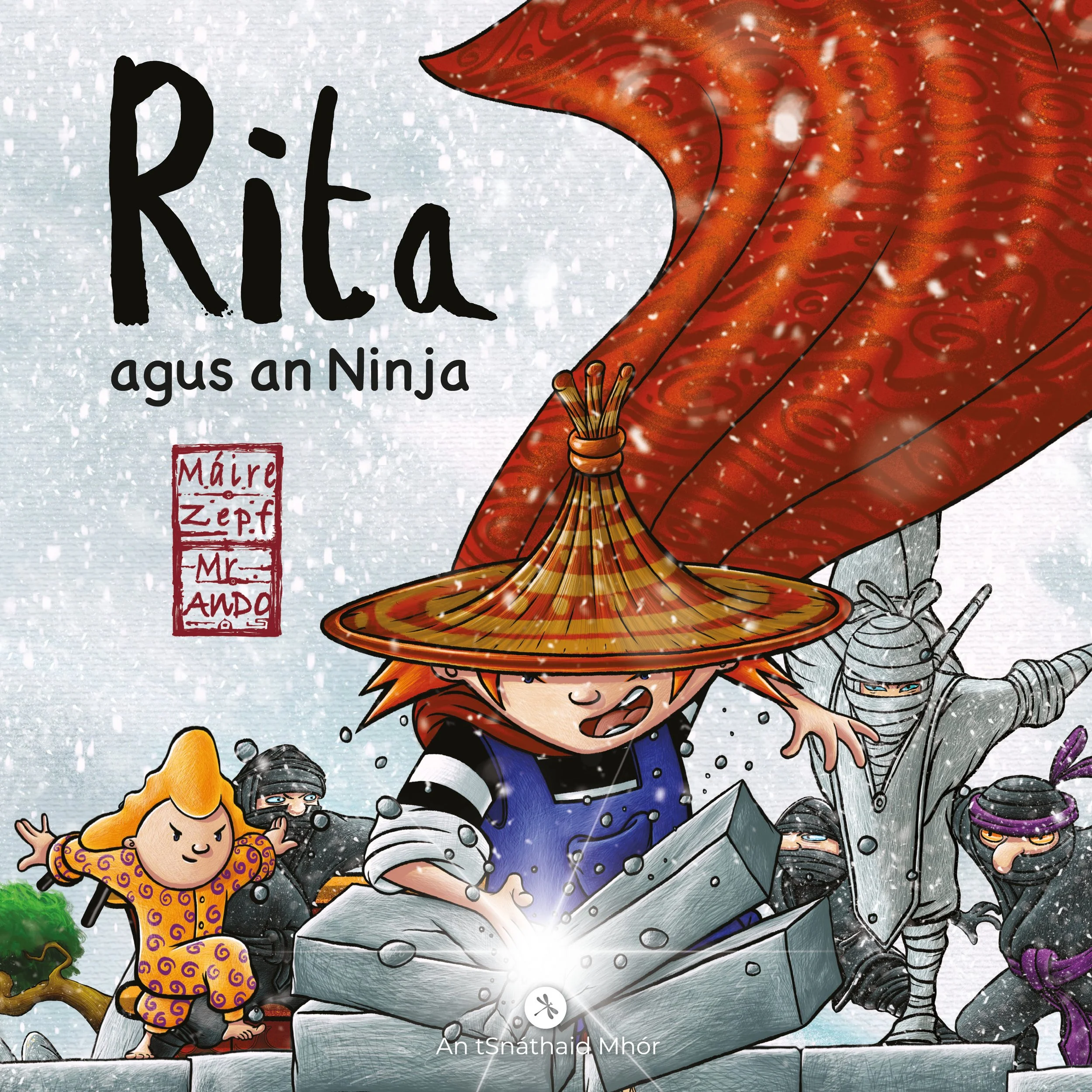 Rita agus an Ninja_PB IRISH COVER.jpg