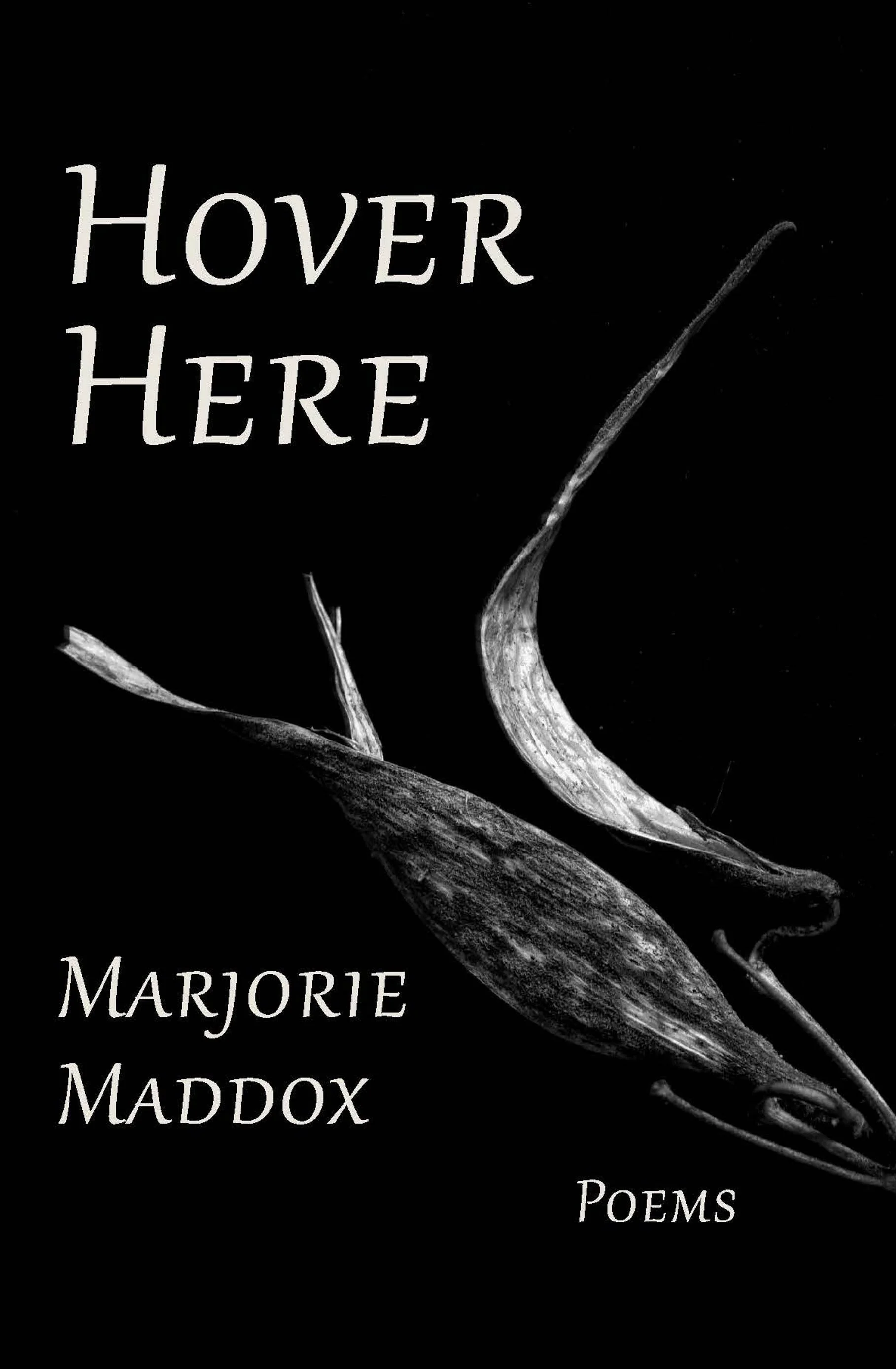 Hover Here front cover.jpg