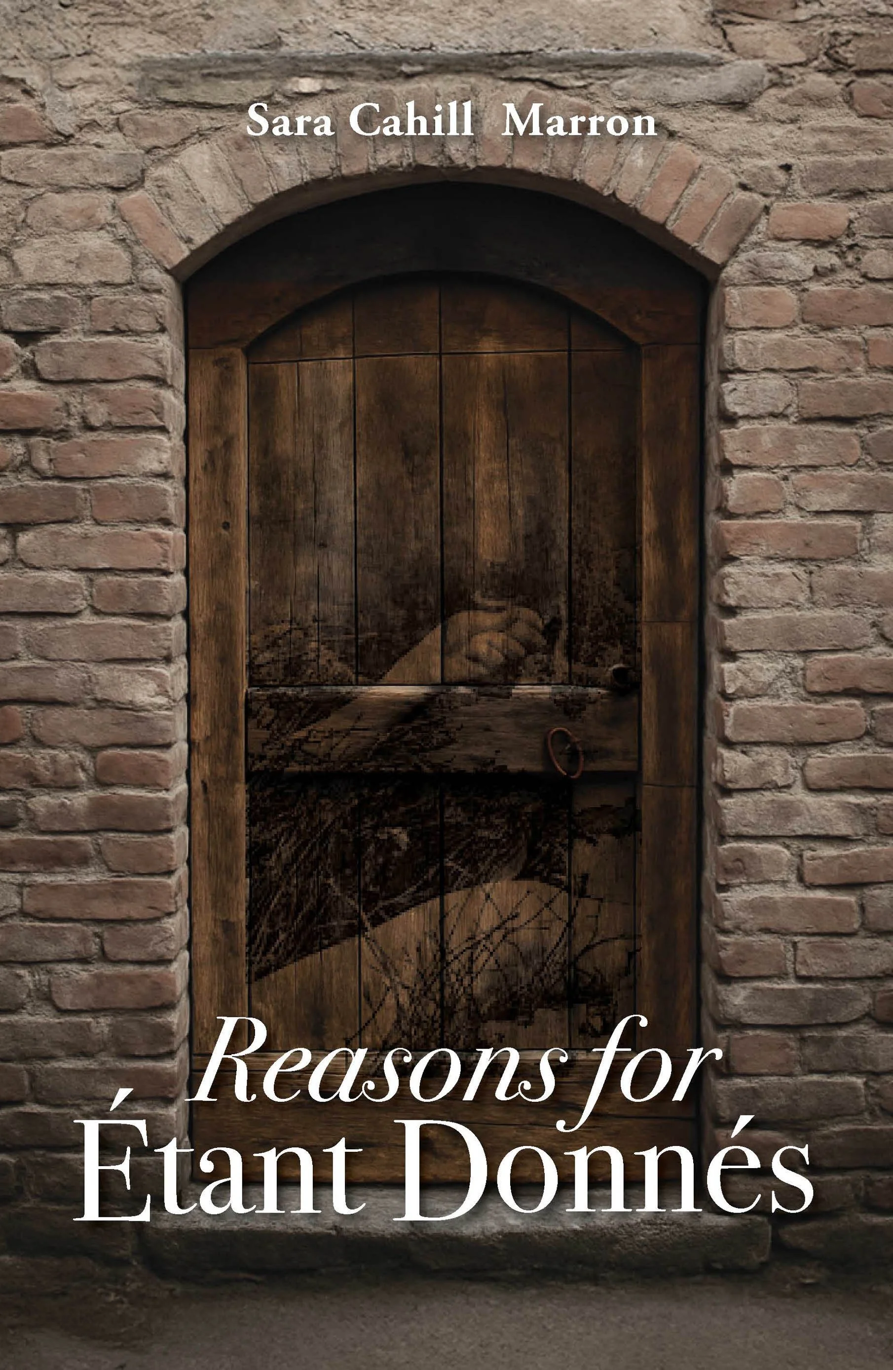 Reasons for Etant Donnes front cover.jpg