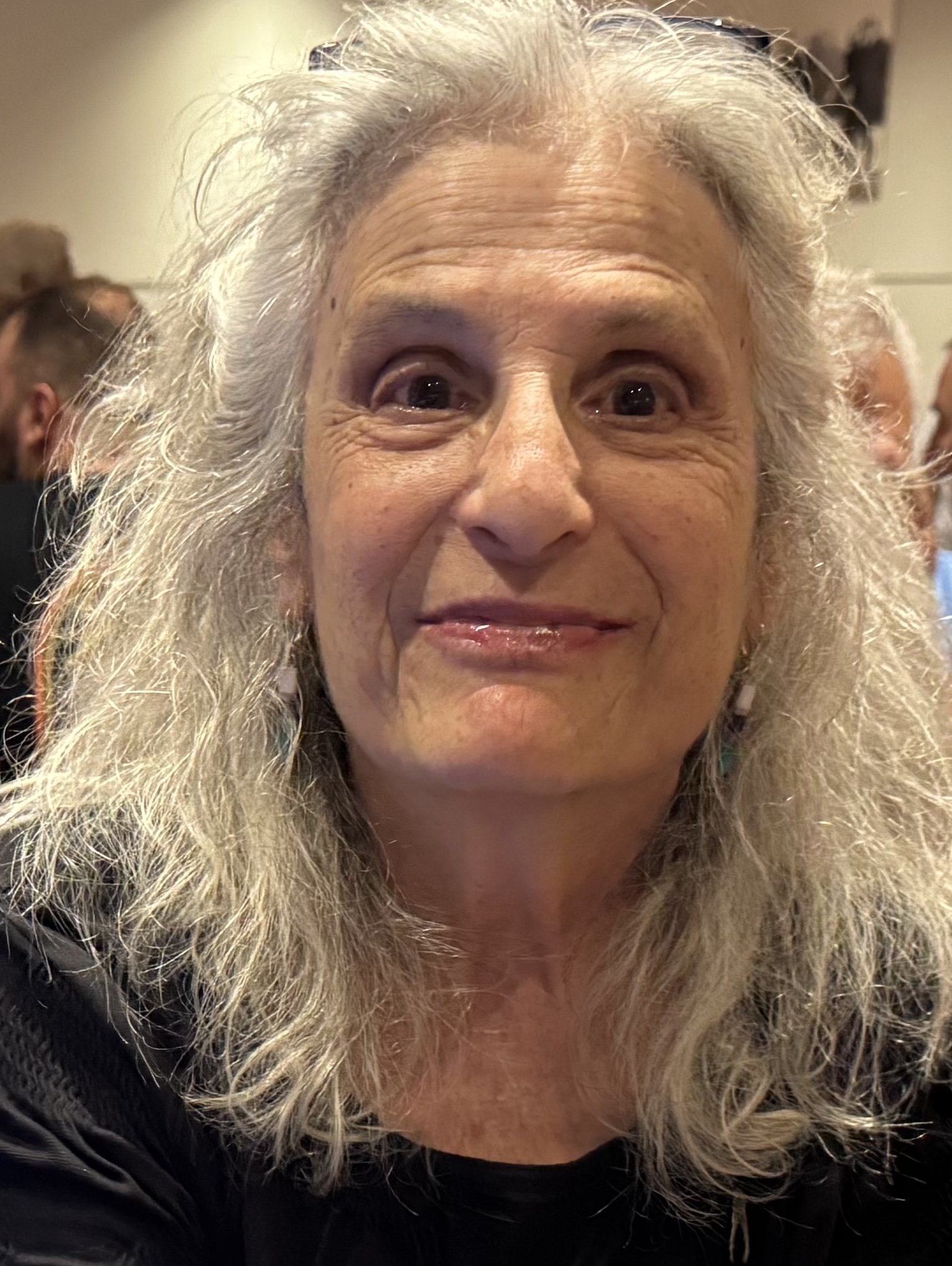 Susan Eisenberg_Fault Line.jpeg