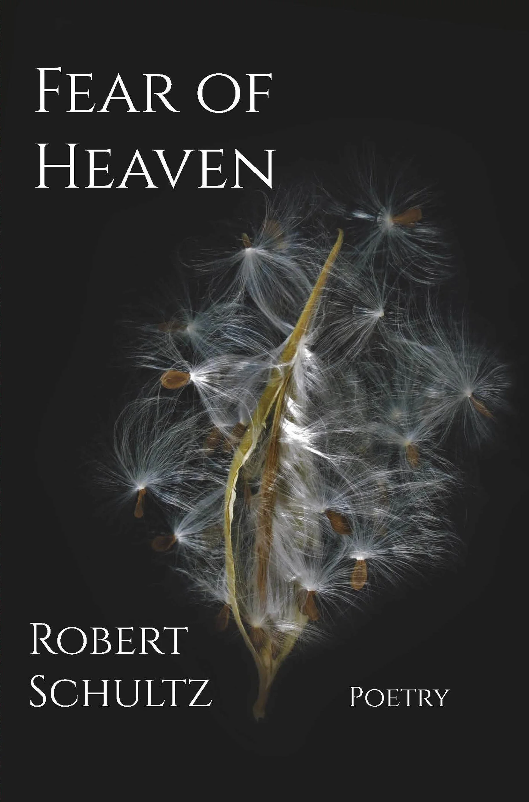Fear of Heaven front cover.jpg