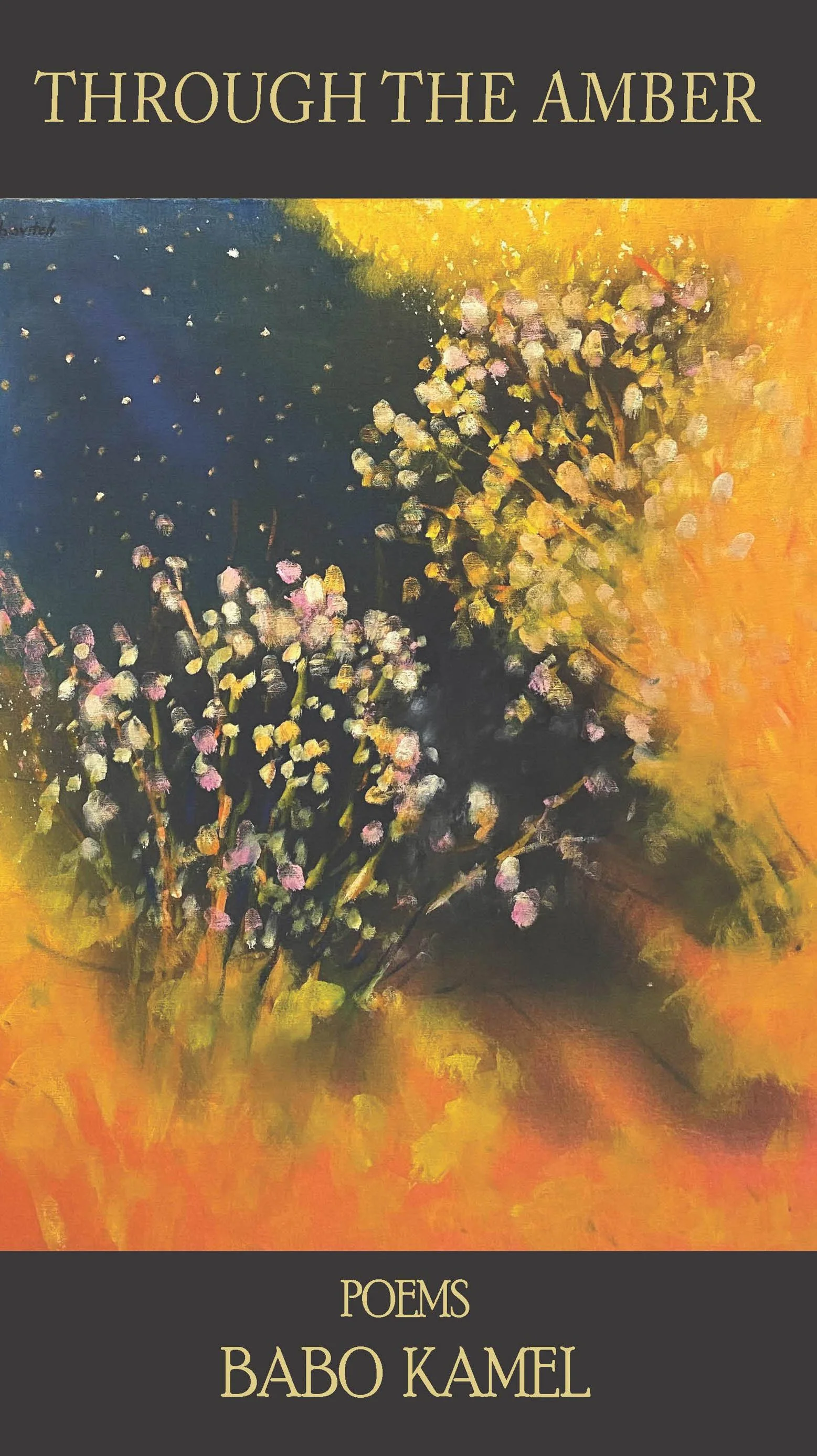 THROUGH THE AMBER, poetry by Babo Kamel
