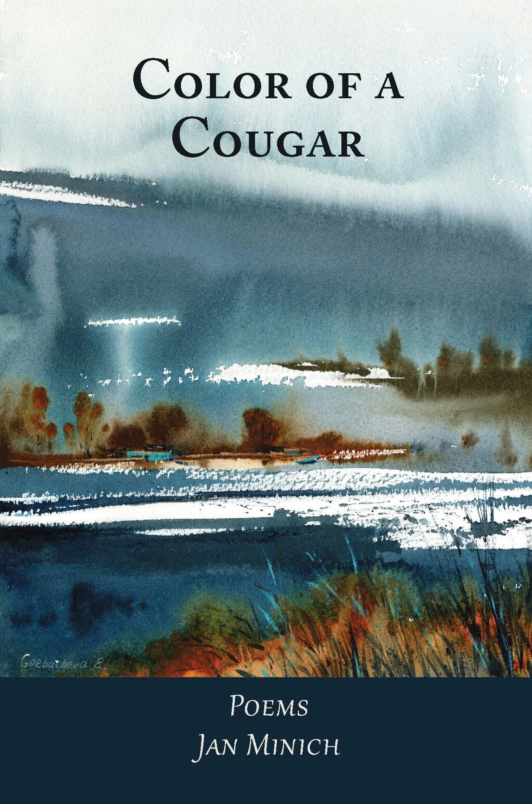 front cover.jpg