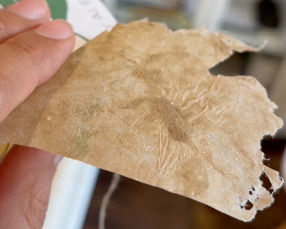Paper-Making at Historic Rittenhouse