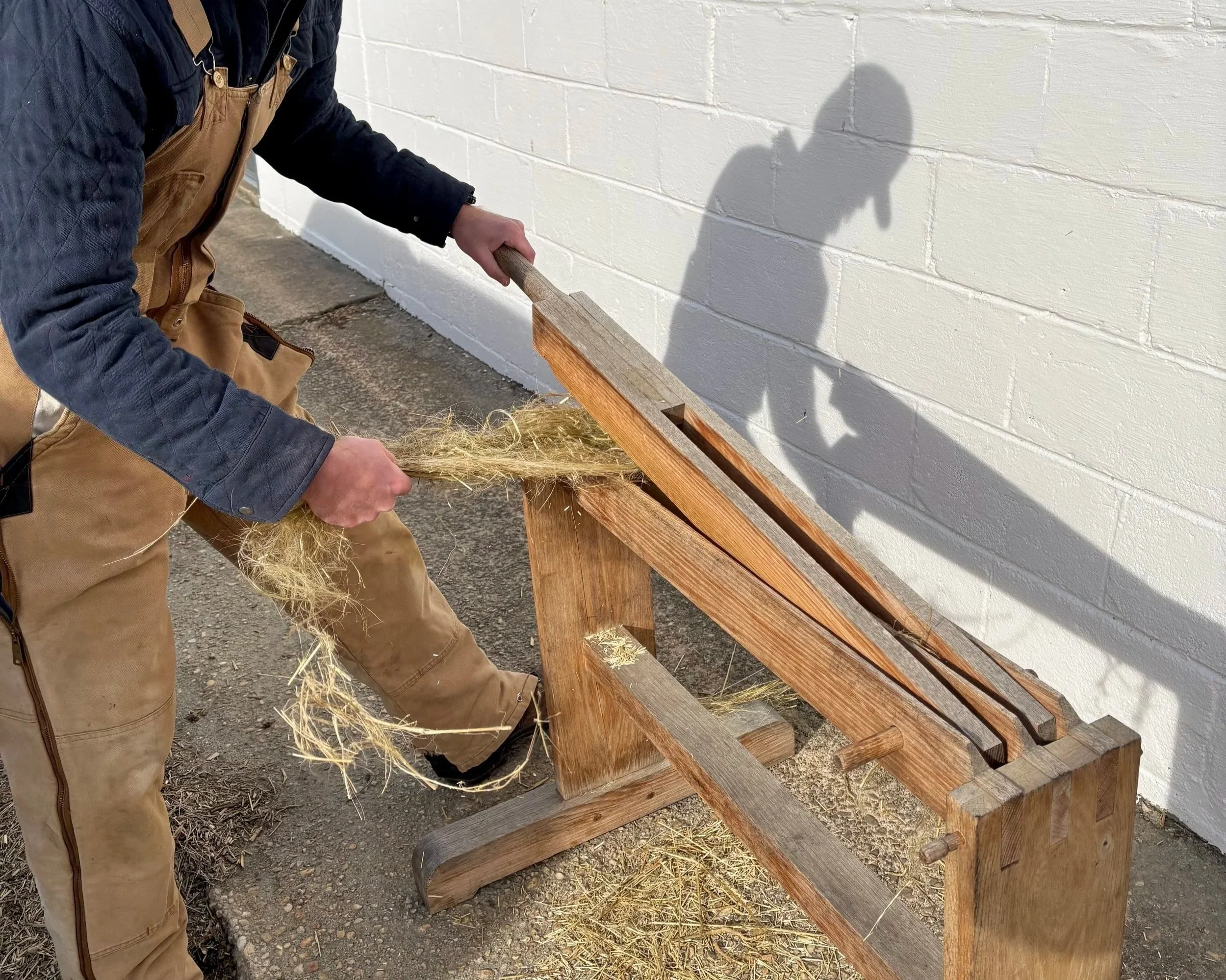 December Field Trips