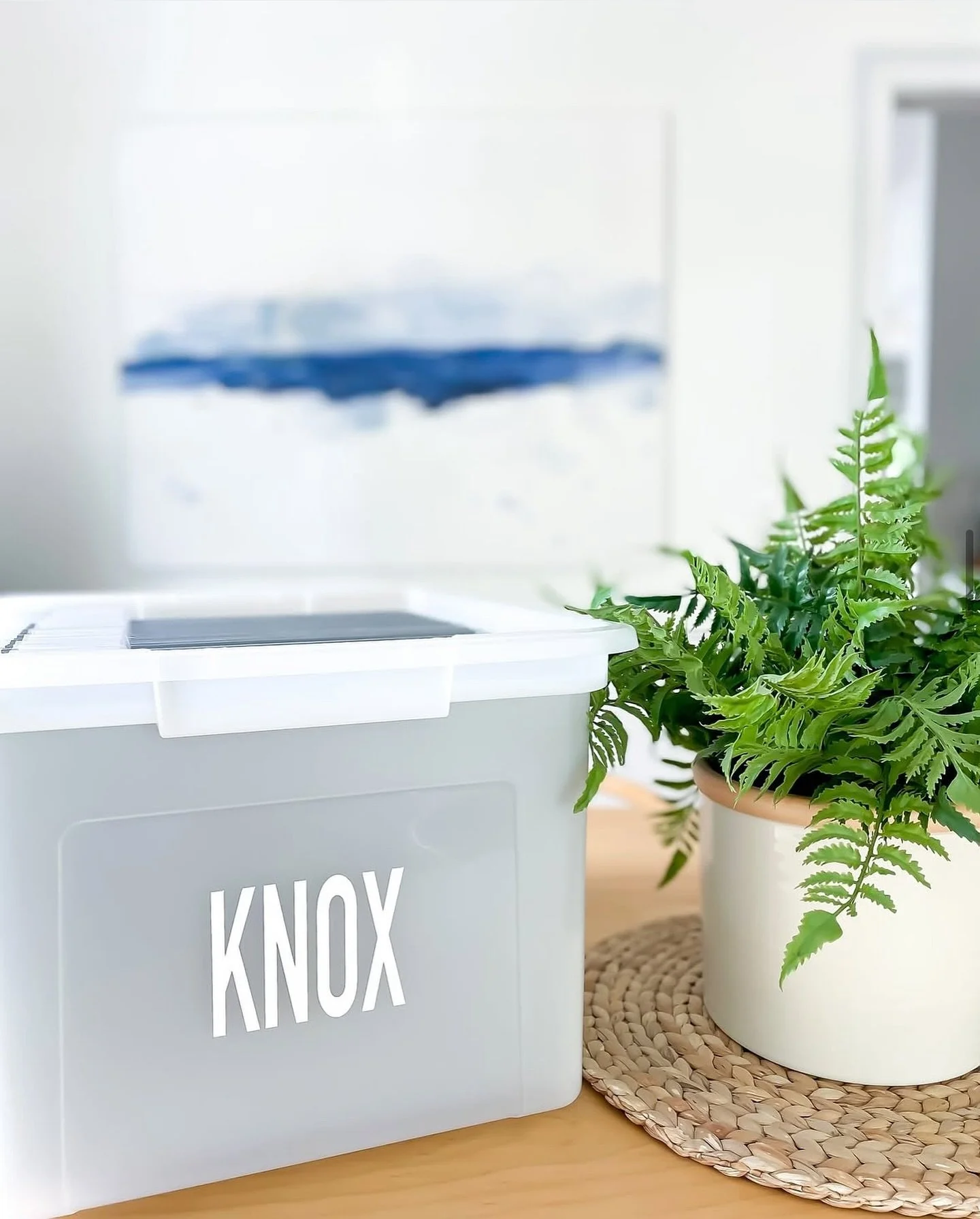 Memory Boxes are a great way to control the paper clutter that children love to create.  25 Pre-labeled colored folders and a personalized name label to keep your children&rsquo;s keepsakes safe, organized, and under control. 📂

#sortandstore #memor