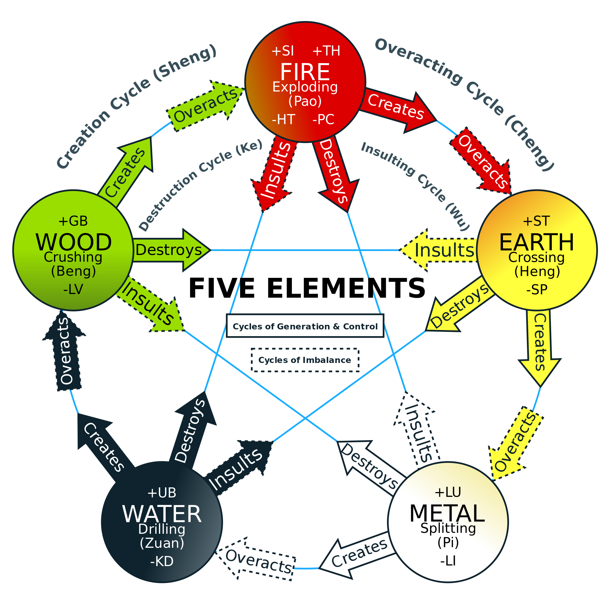 As Above So Below The Five Element Model — Lily Choi Natural Healing