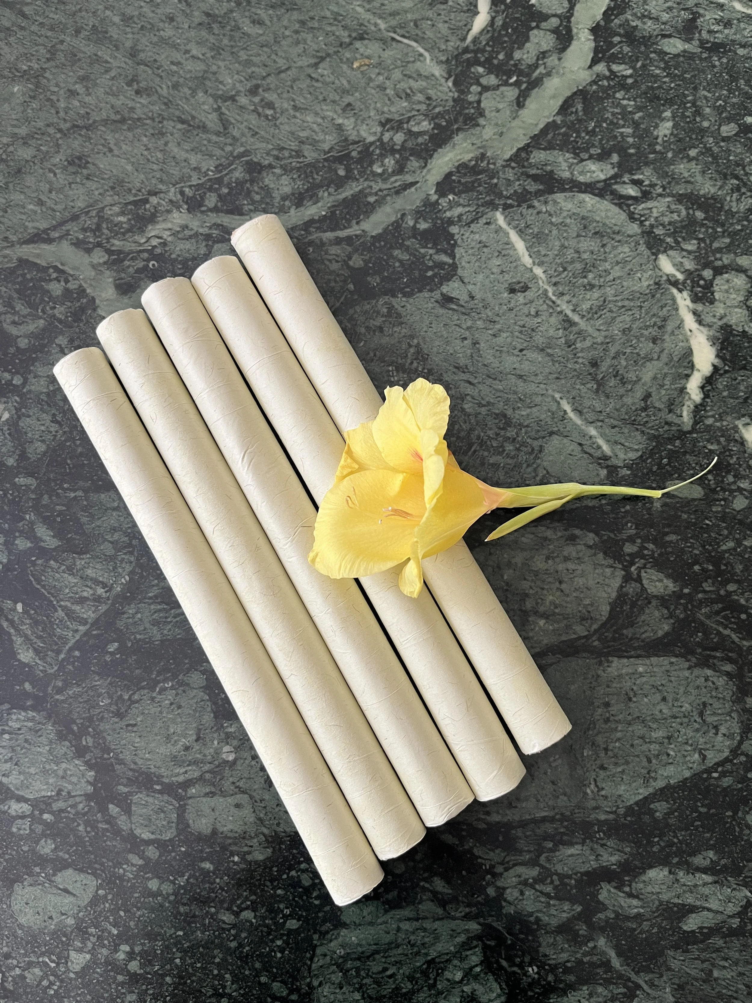 Premium Mugwort Moxa Rolls (5 rolls)