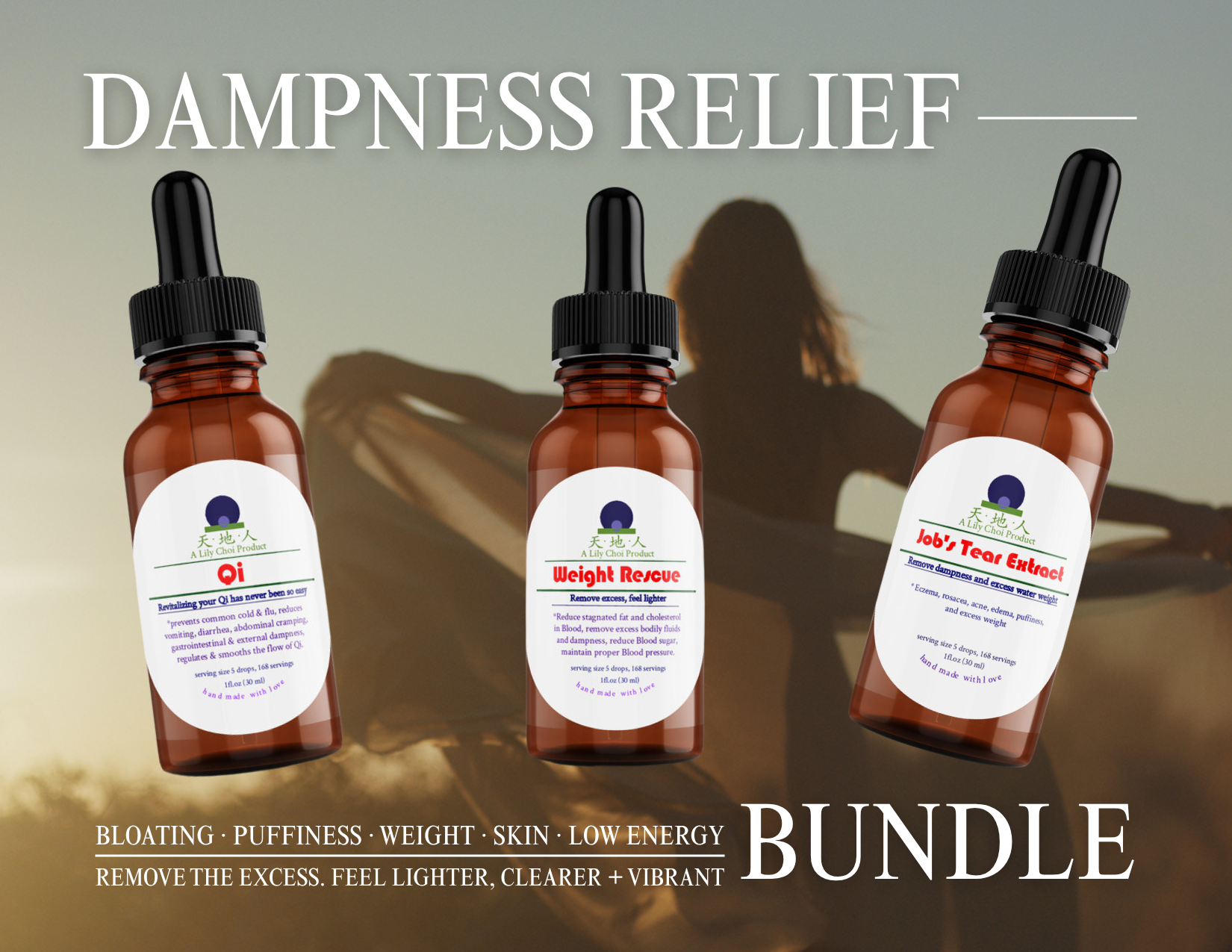 dampness relief bundle.png