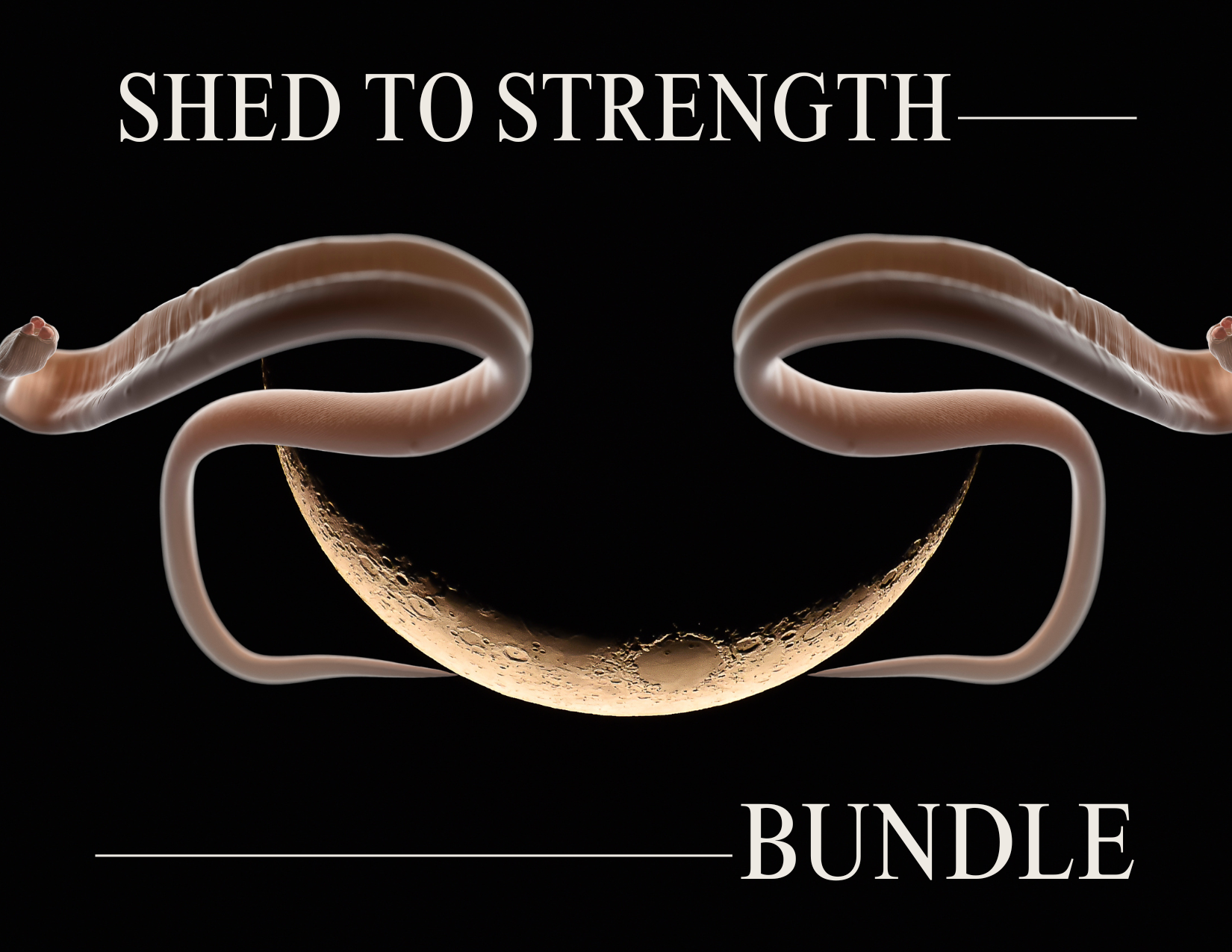 shed to strength bundle.png