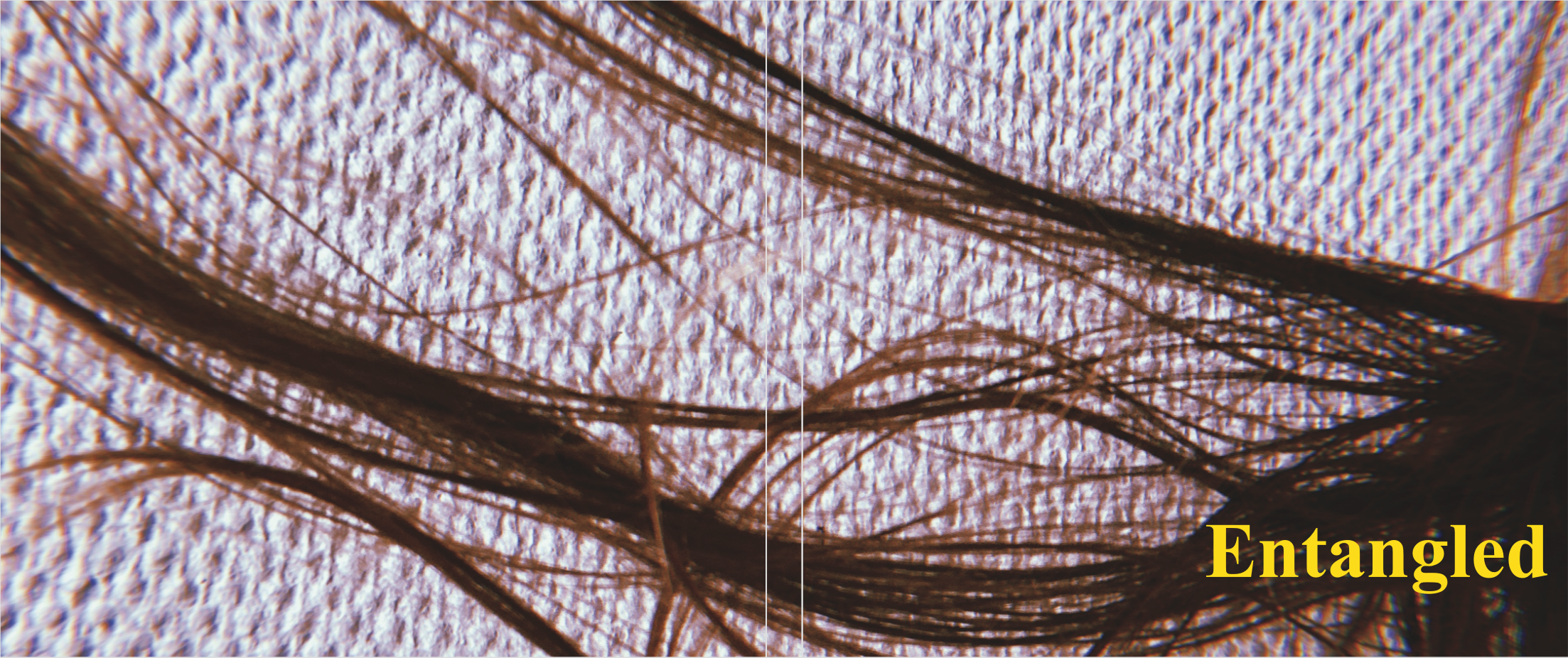 Skærmbillede 2025-12-25 kl. 15.36.30.png