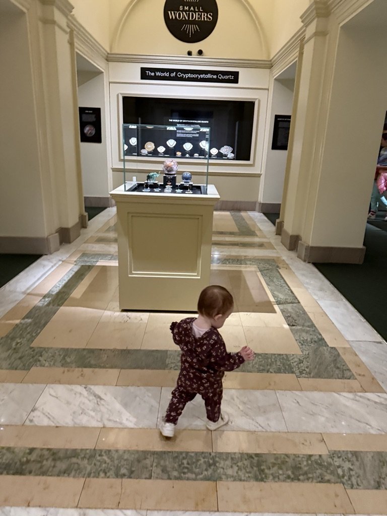 2A929AC6-0047-4B22-94E2-BDAE09D59CE3_1_105_c.jpeg