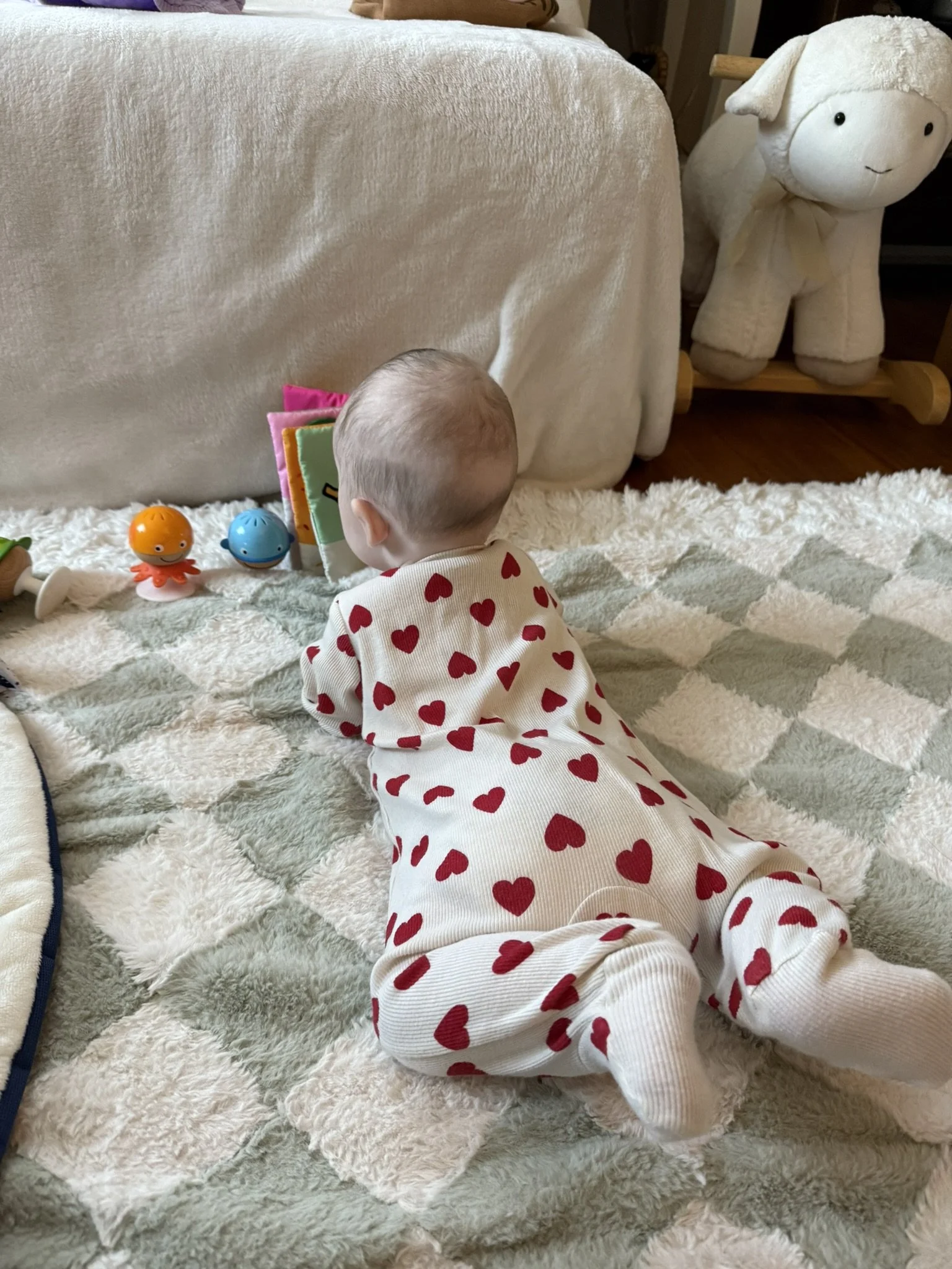 A94381EF-B214-4D7B-BA51-612B00DB6DA9_1_102_o.jpeg
