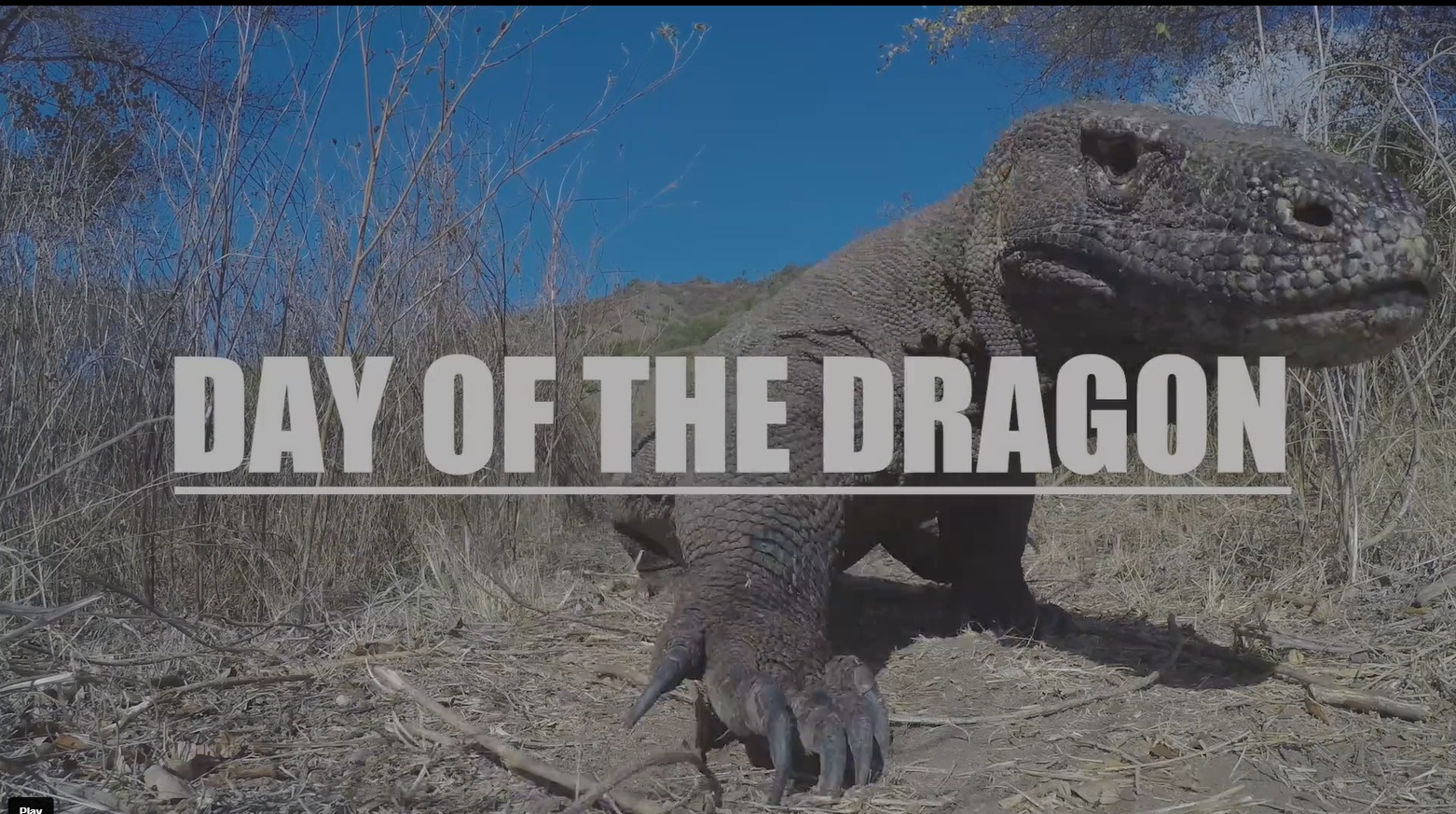 Screenshot 2026-01-07 181950.png