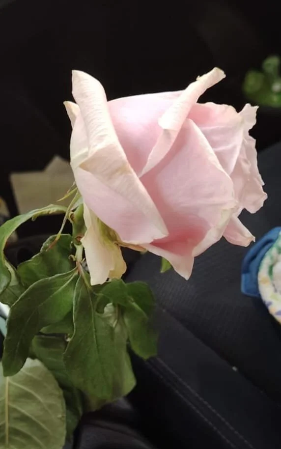 WhatsApp Image 2025-08-19 at 16.28.46 (5).jpeg