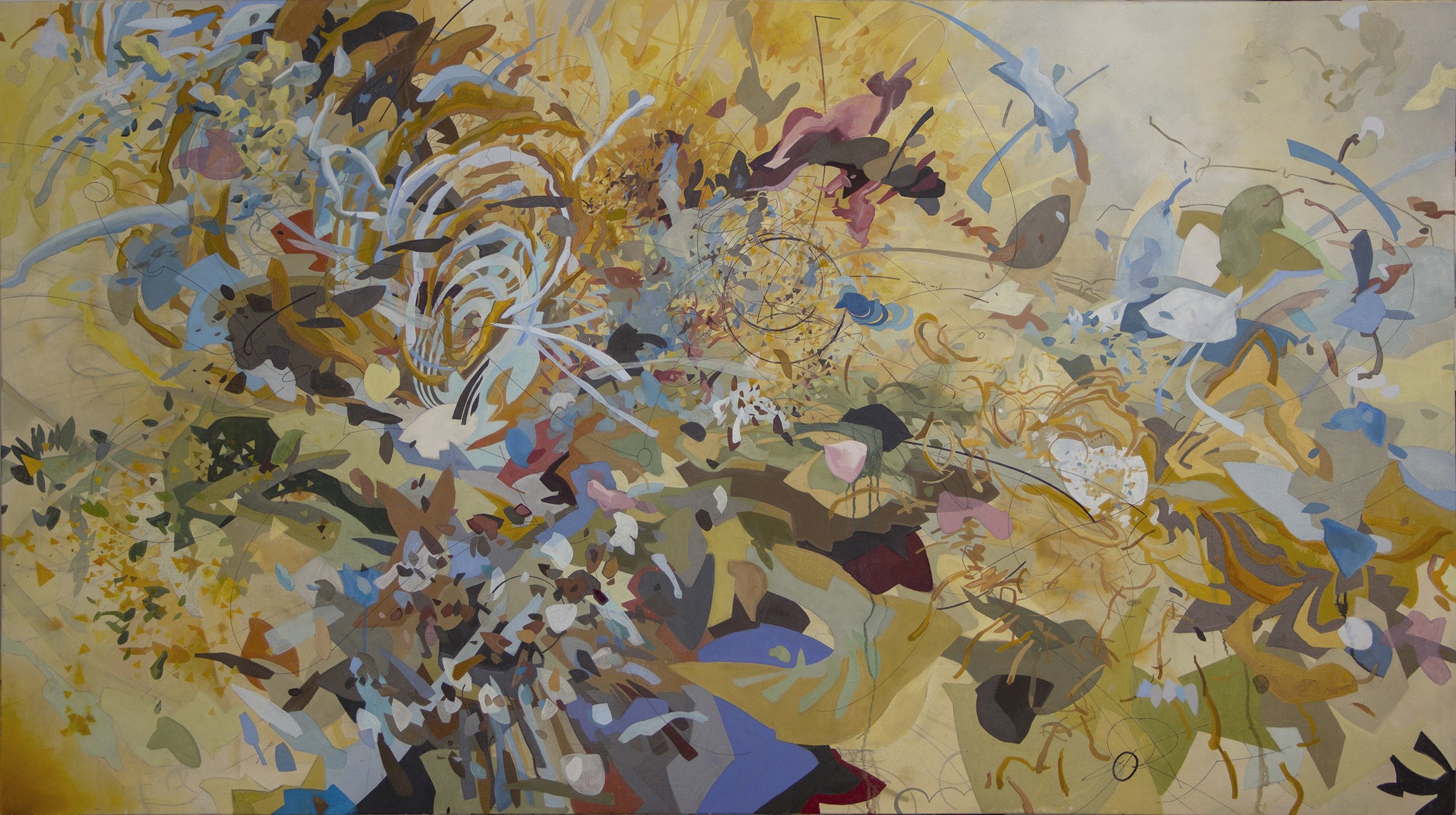 Looking at Nothing to See.jpg