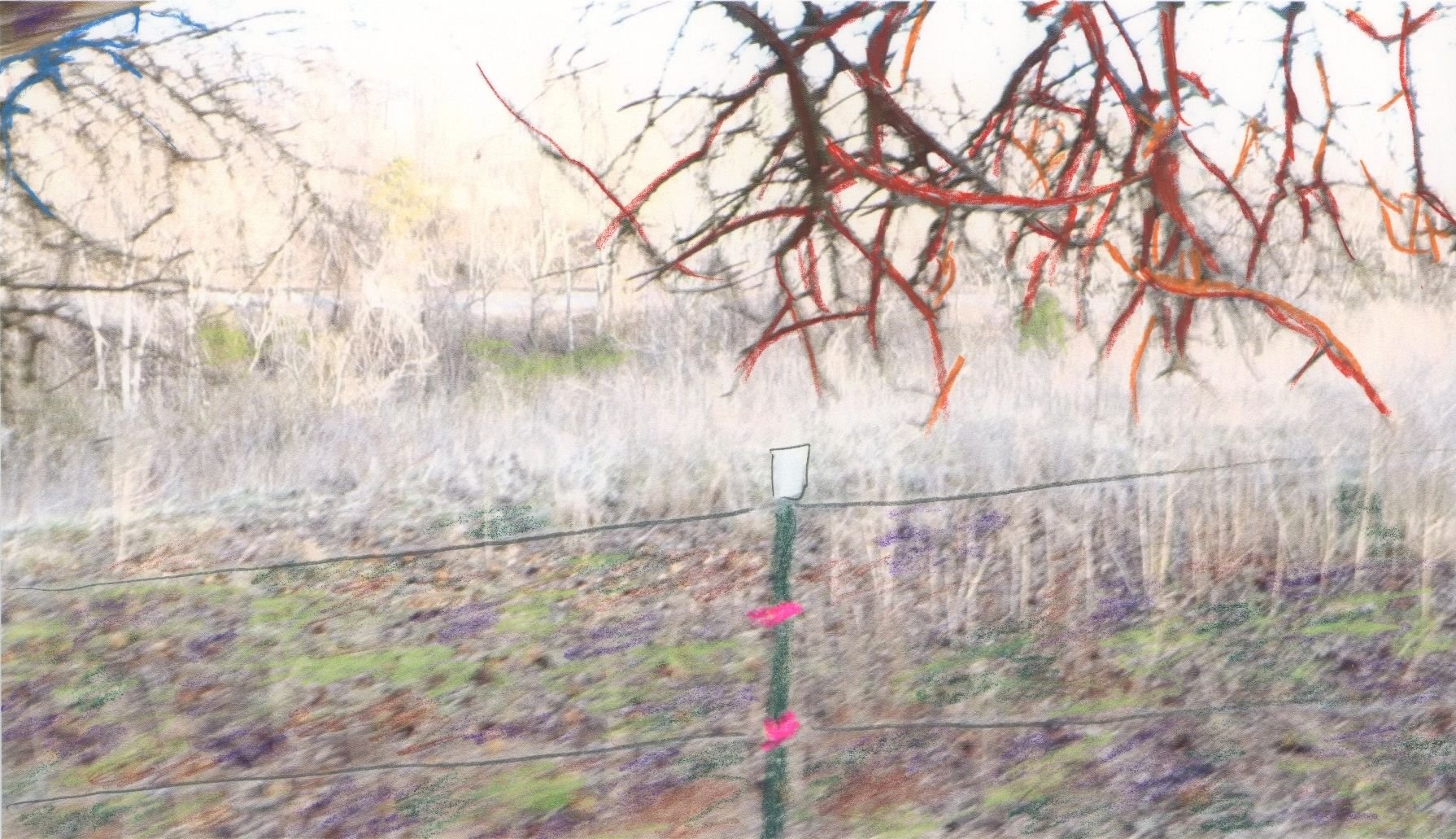 "(This) Lyrical Ballad", Judith Robertson