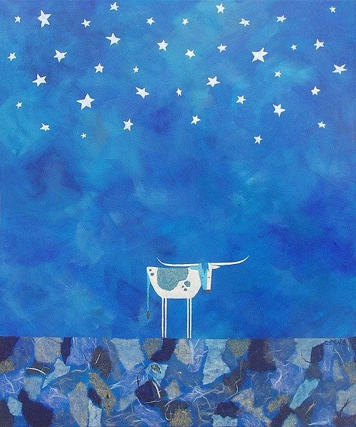 The Stars at Night.jpg